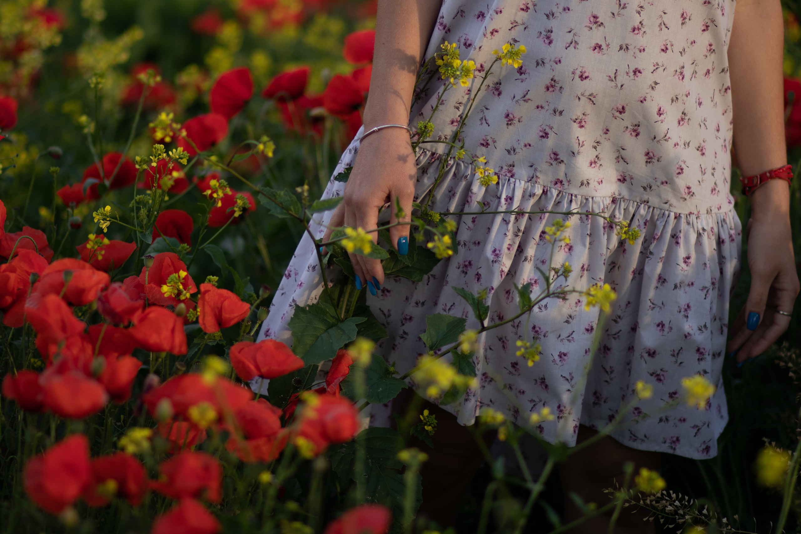 Fotografisanje brenda Beograd