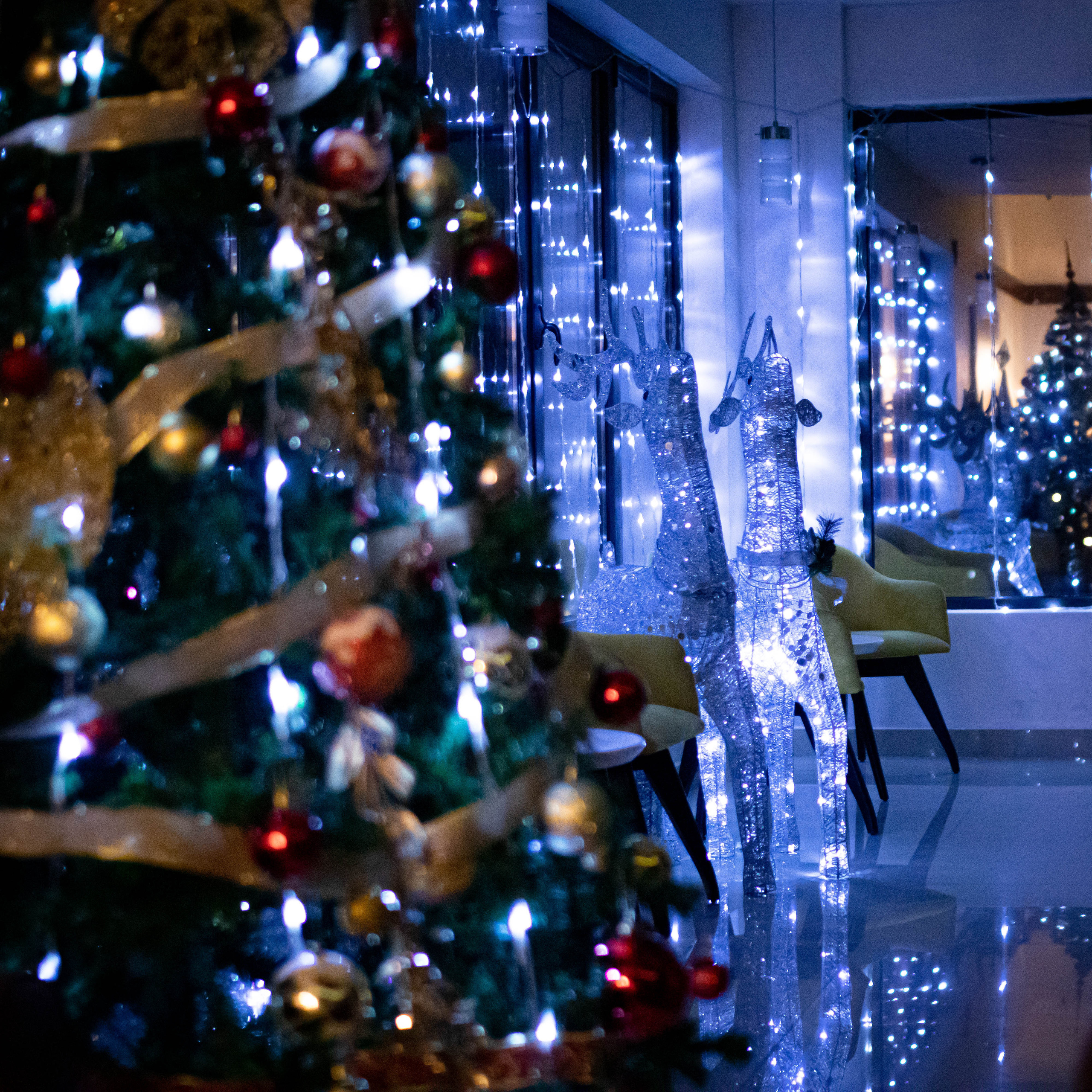 Fotografije enterijera jotela Garnet u Rumi