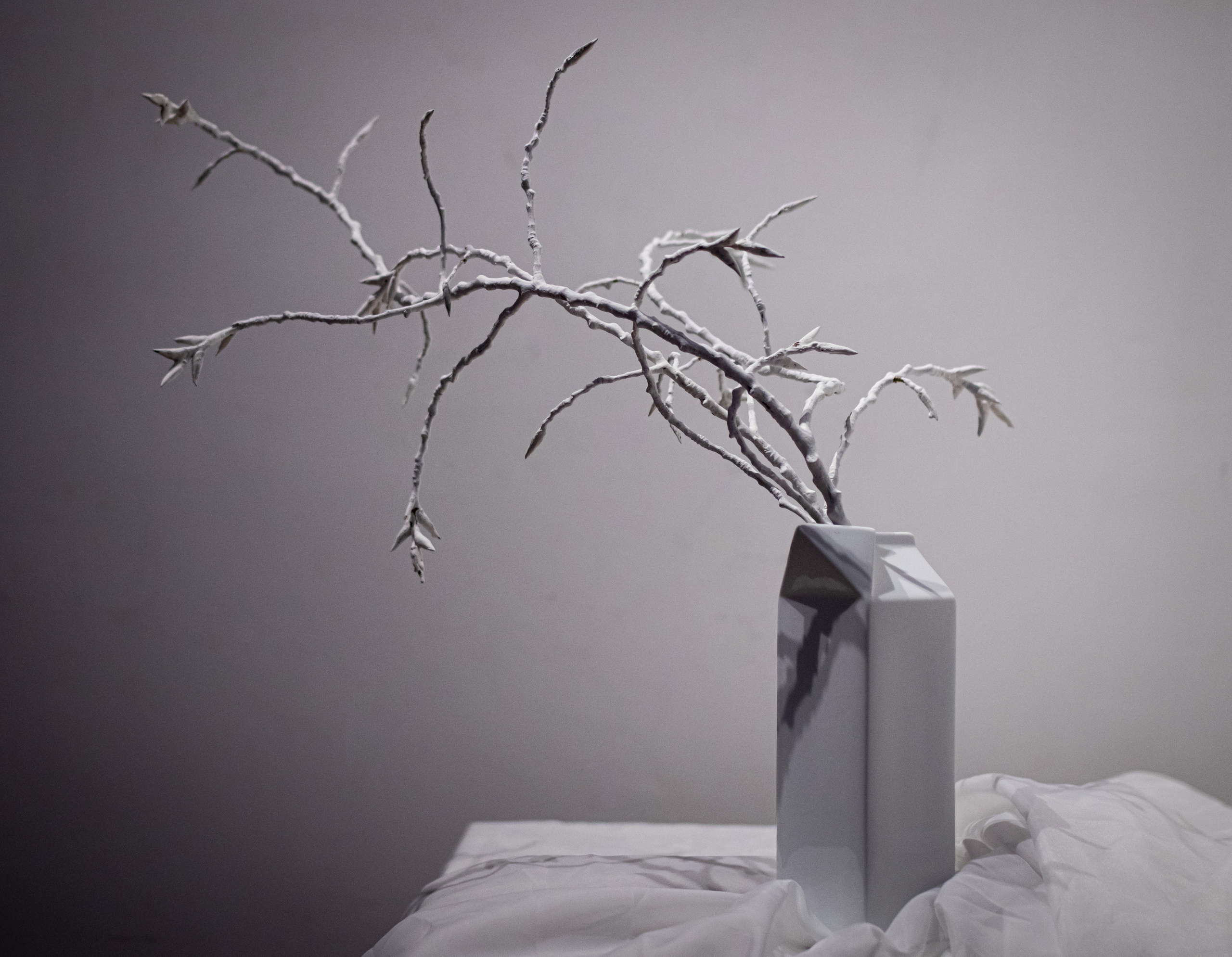 Fotografije sa predivne izložbe