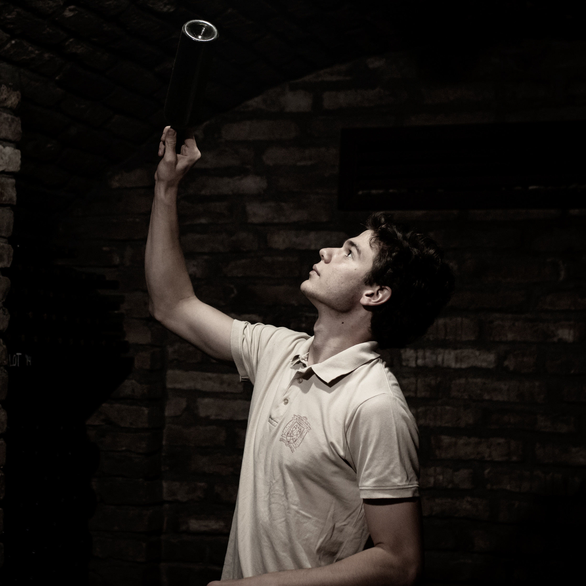 Fotografije skrivene vinarije za odmor za dušu u podnožju Fruške gore