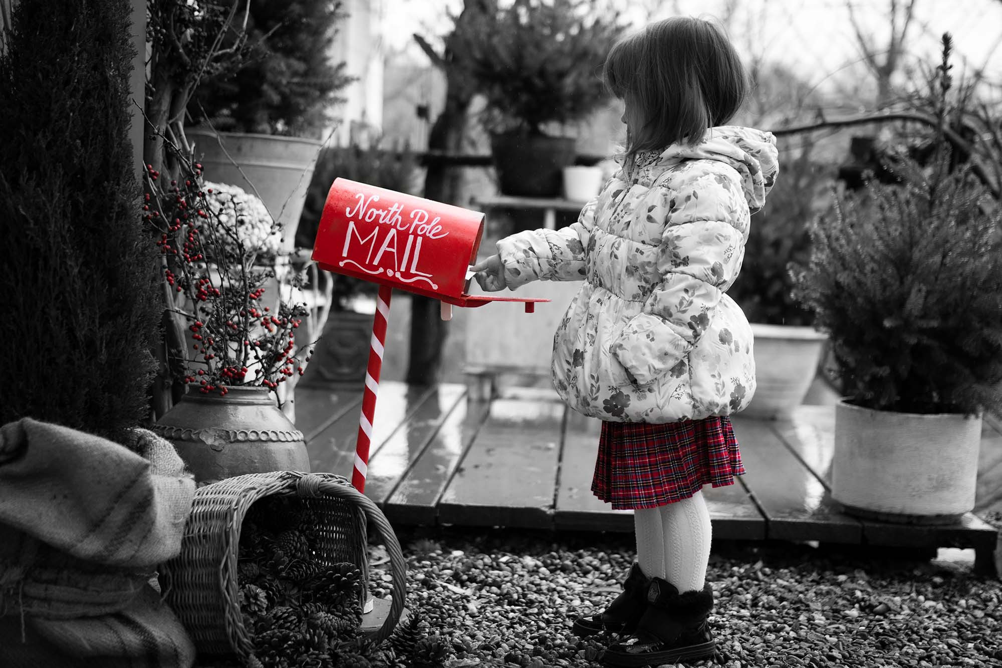 Praznične fotografije