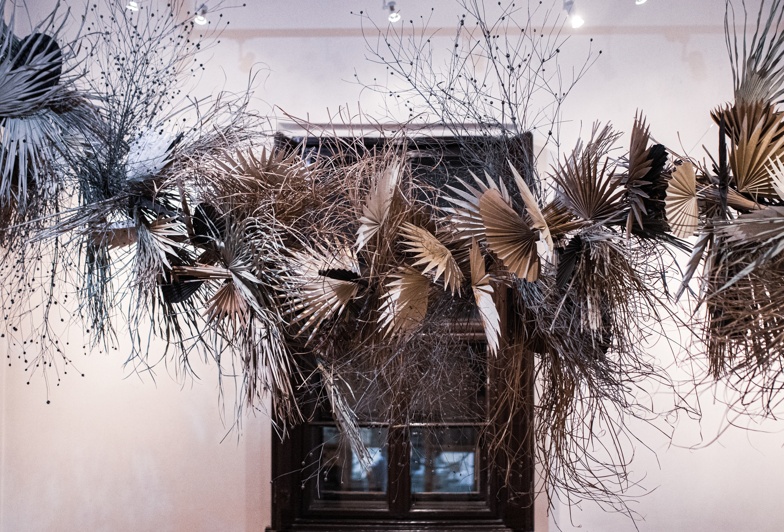 Fotografije sa predivne izložbe