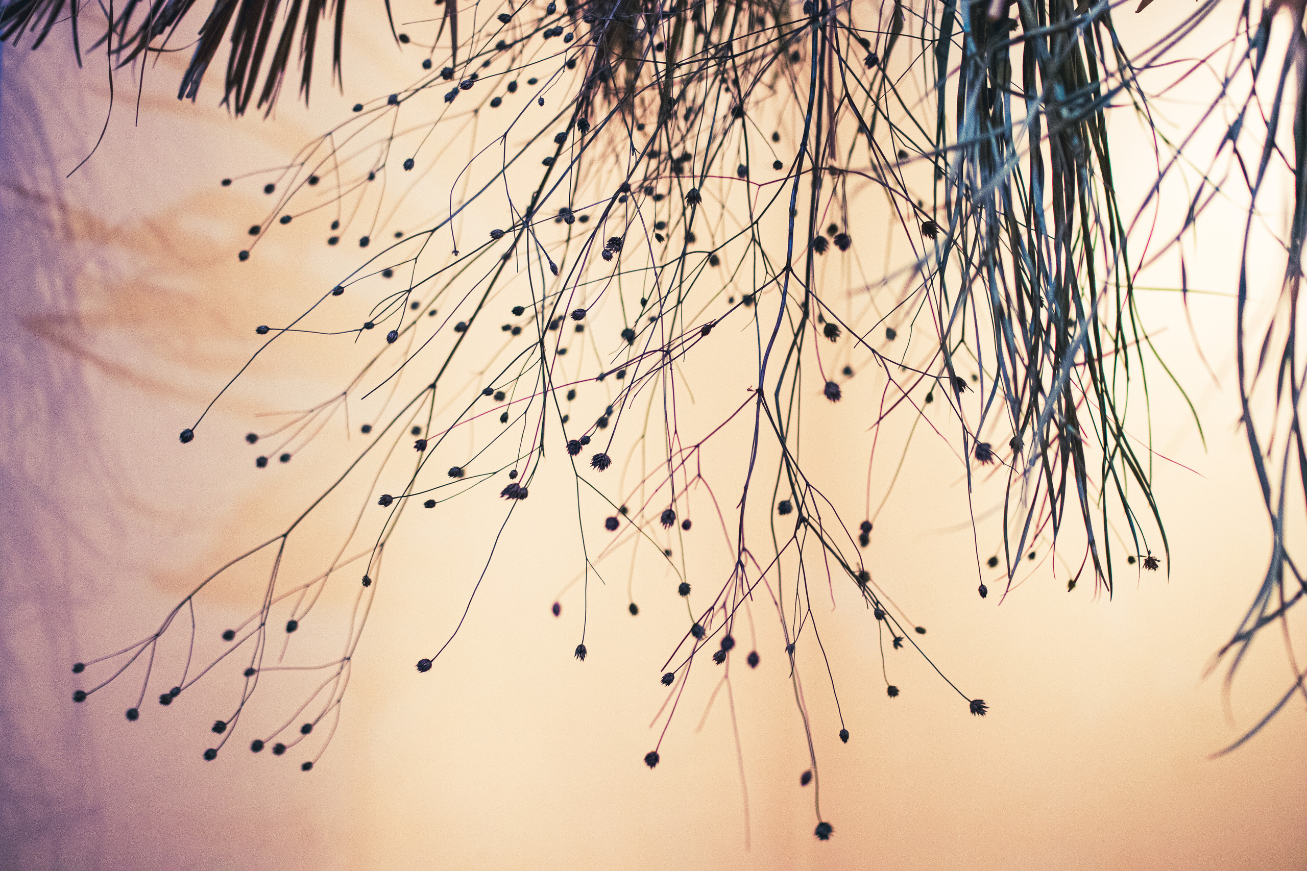 Fotografije sa predivne izložbe