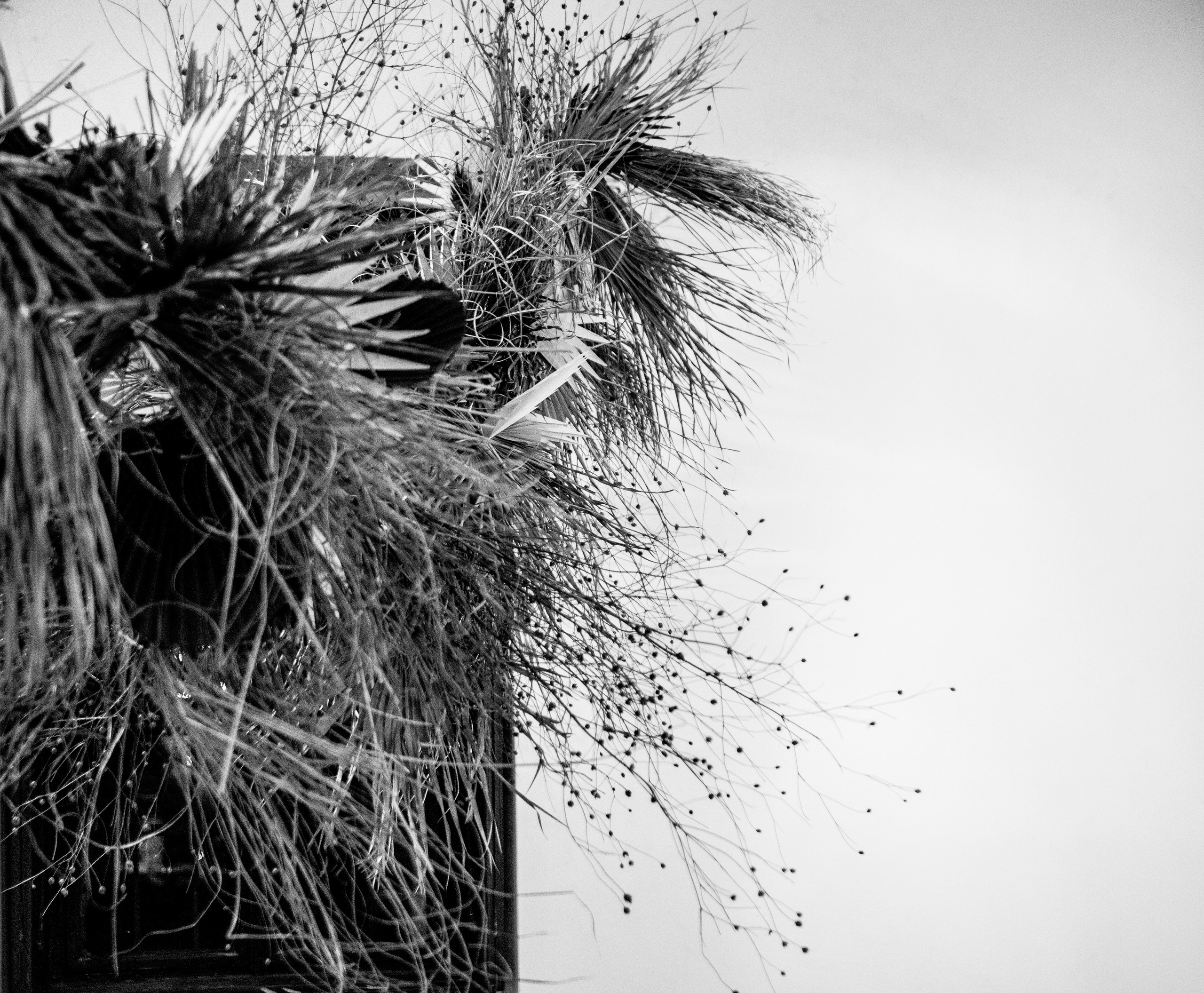 Fotografije sa predivne izložbe