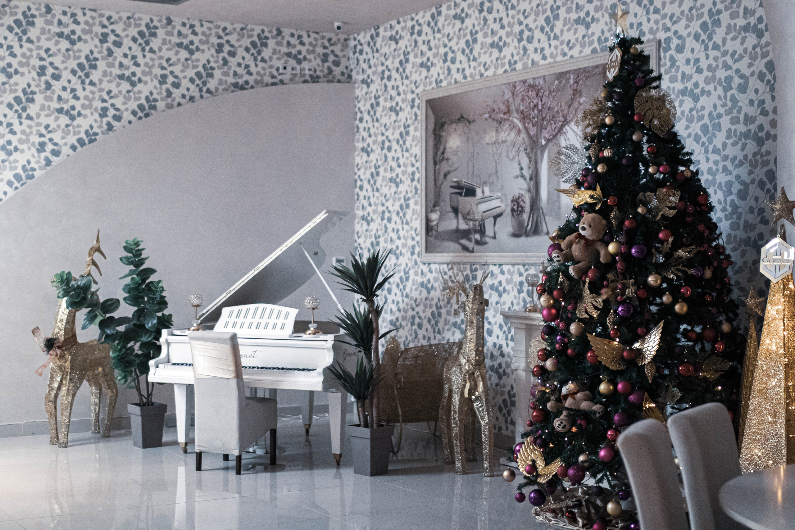 Fotografije enterijera jotela Garnet u Rumi