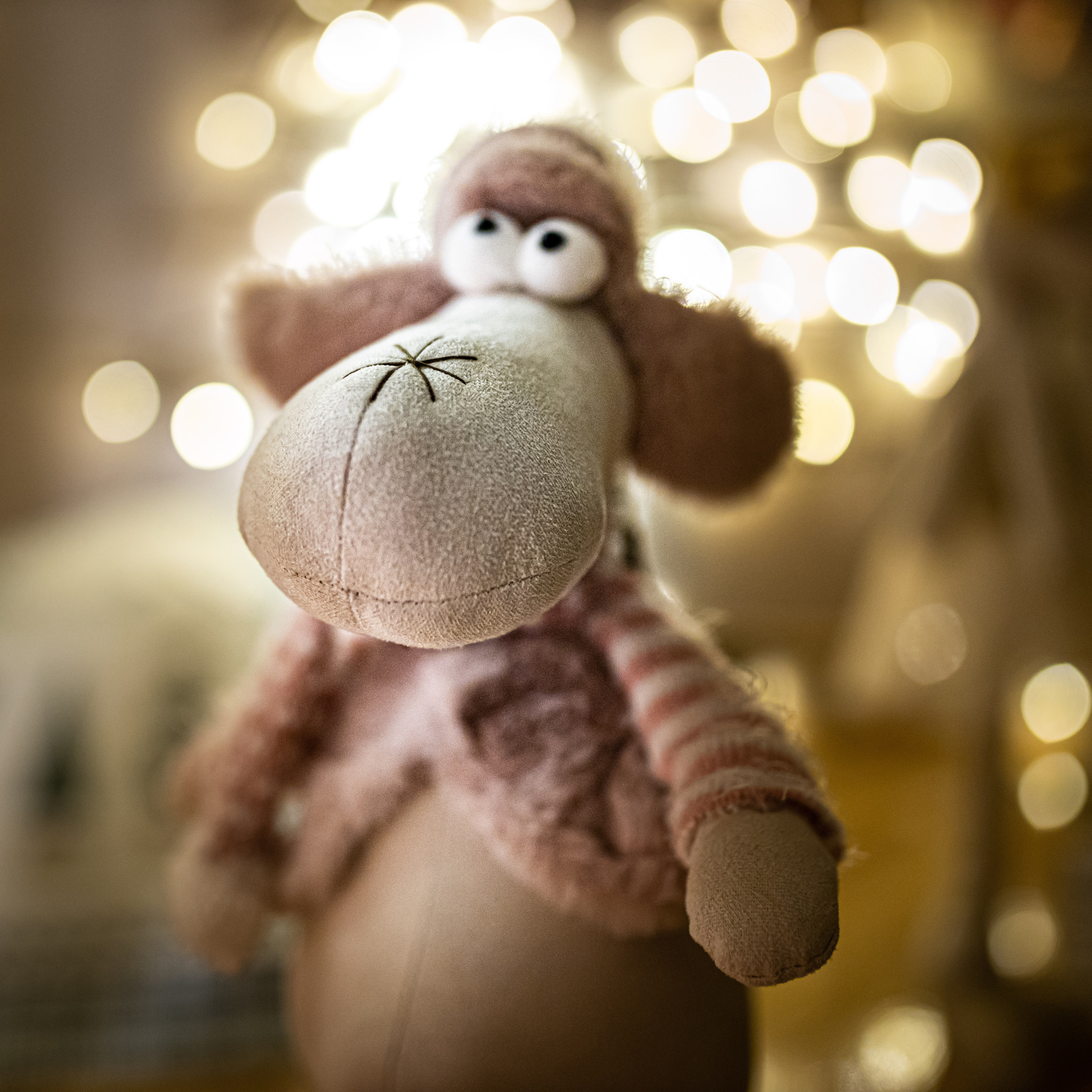 Studijsko novogodišnje fotografisanje Ruma 