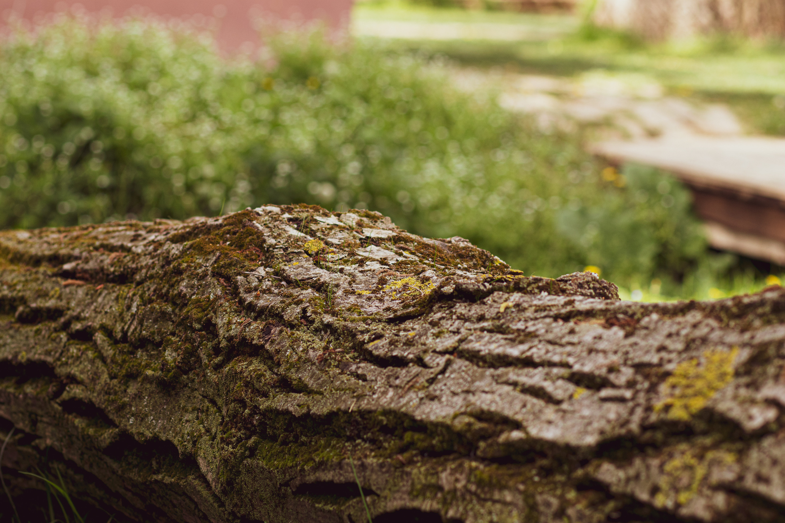 Fotografije skrivene vinarije za odmor za dušu u podnožju Fruške gore