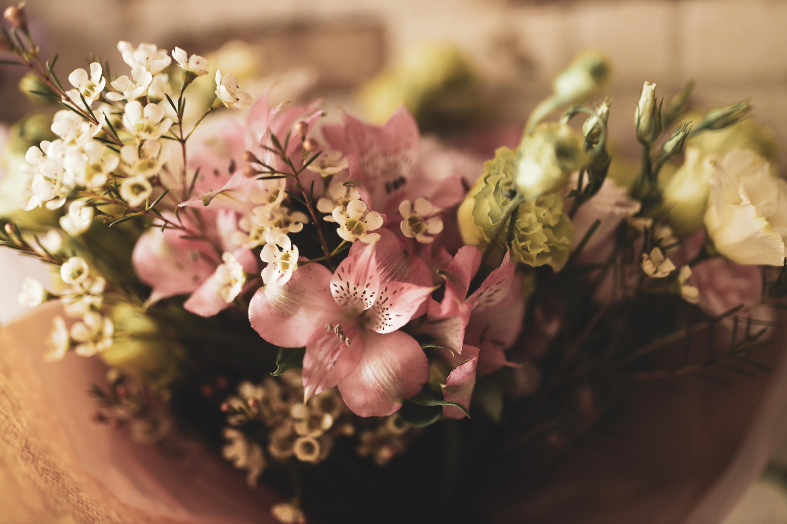 fotografisanje cveća