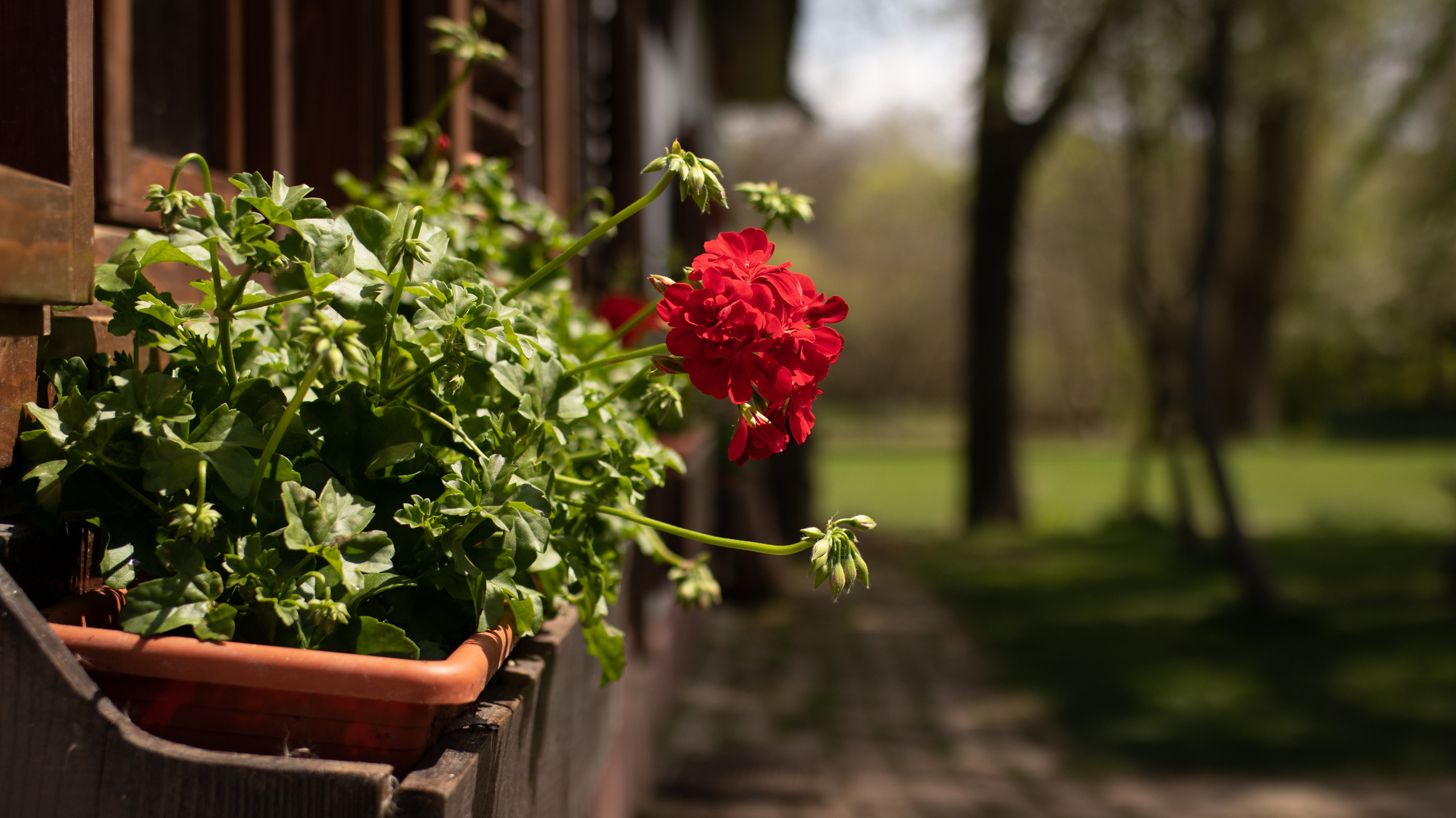 Fotografije skrivene vinarije za odmor za dušu u podnožju Fruške gore