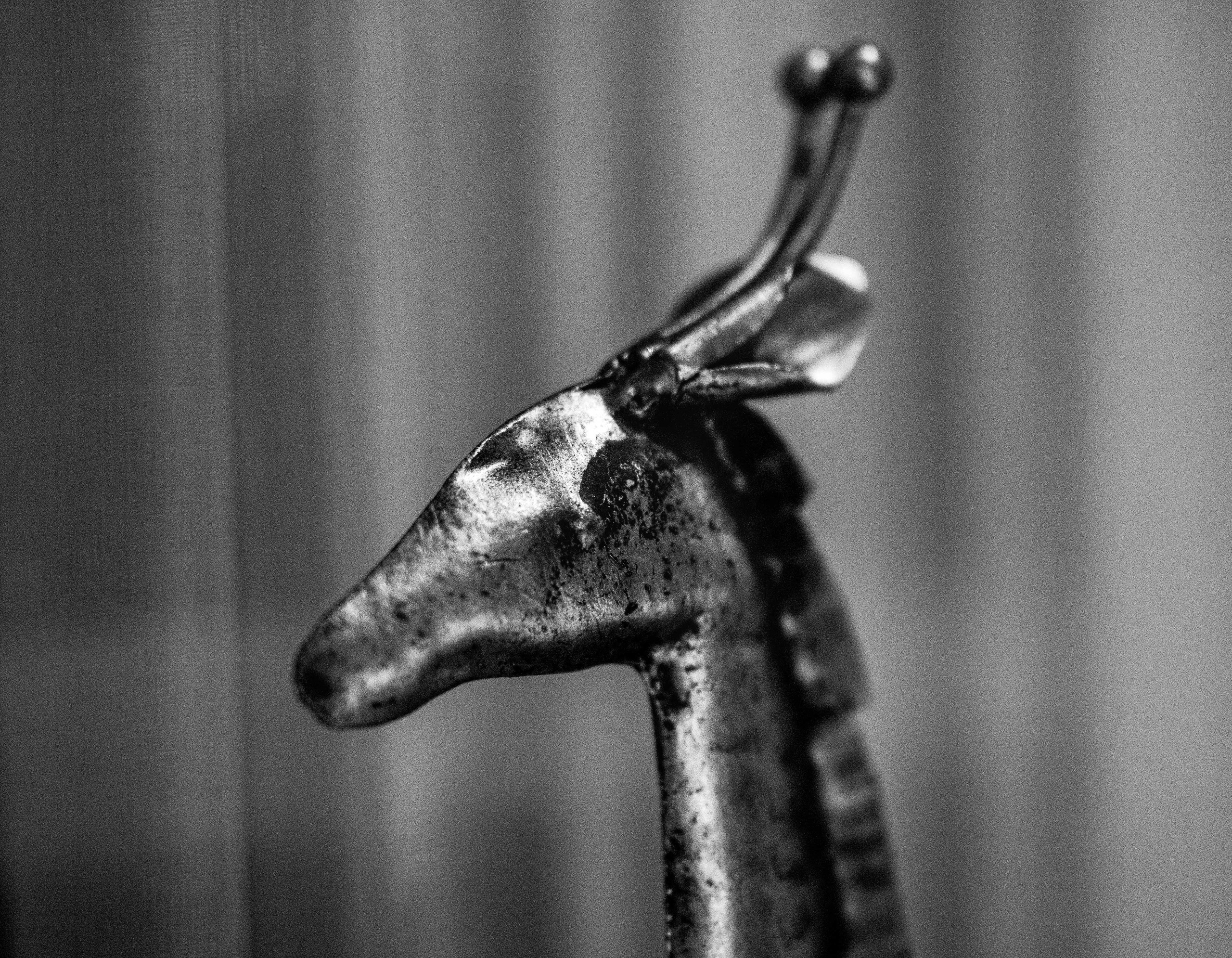 Fotografije luksznog butik hotela Gospava u Beogradu