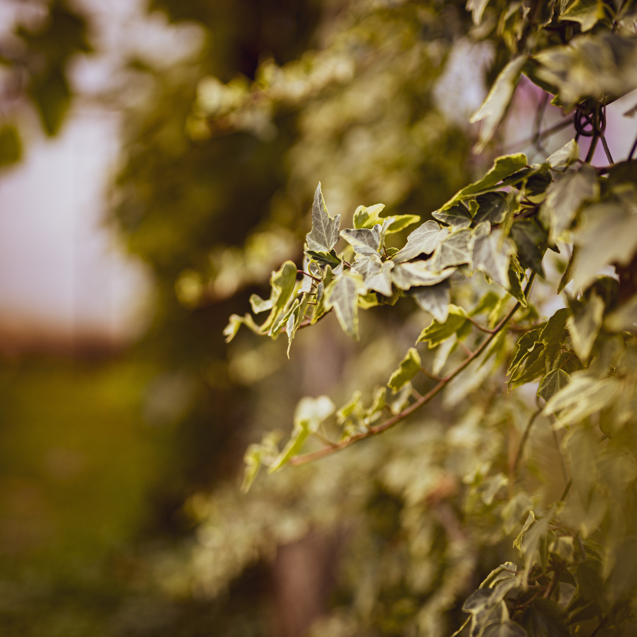 Fotografije enterijera vikendice za odmor u Vrdniku