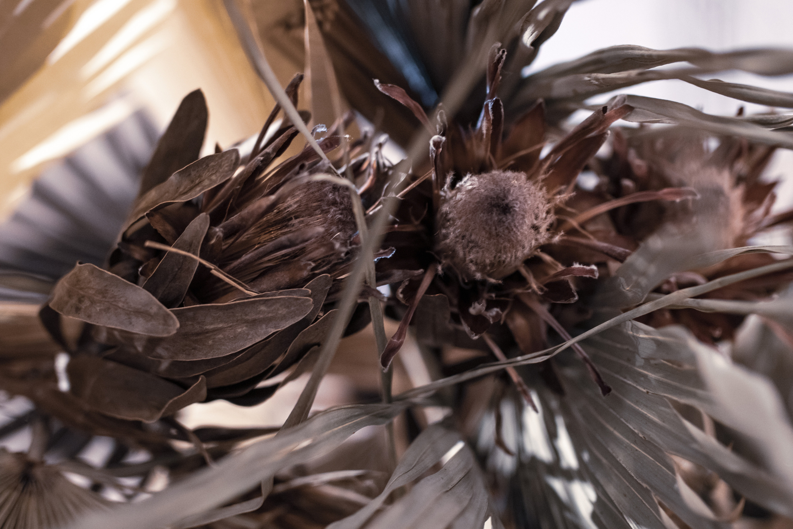 Fotografije sa predivne izložbe