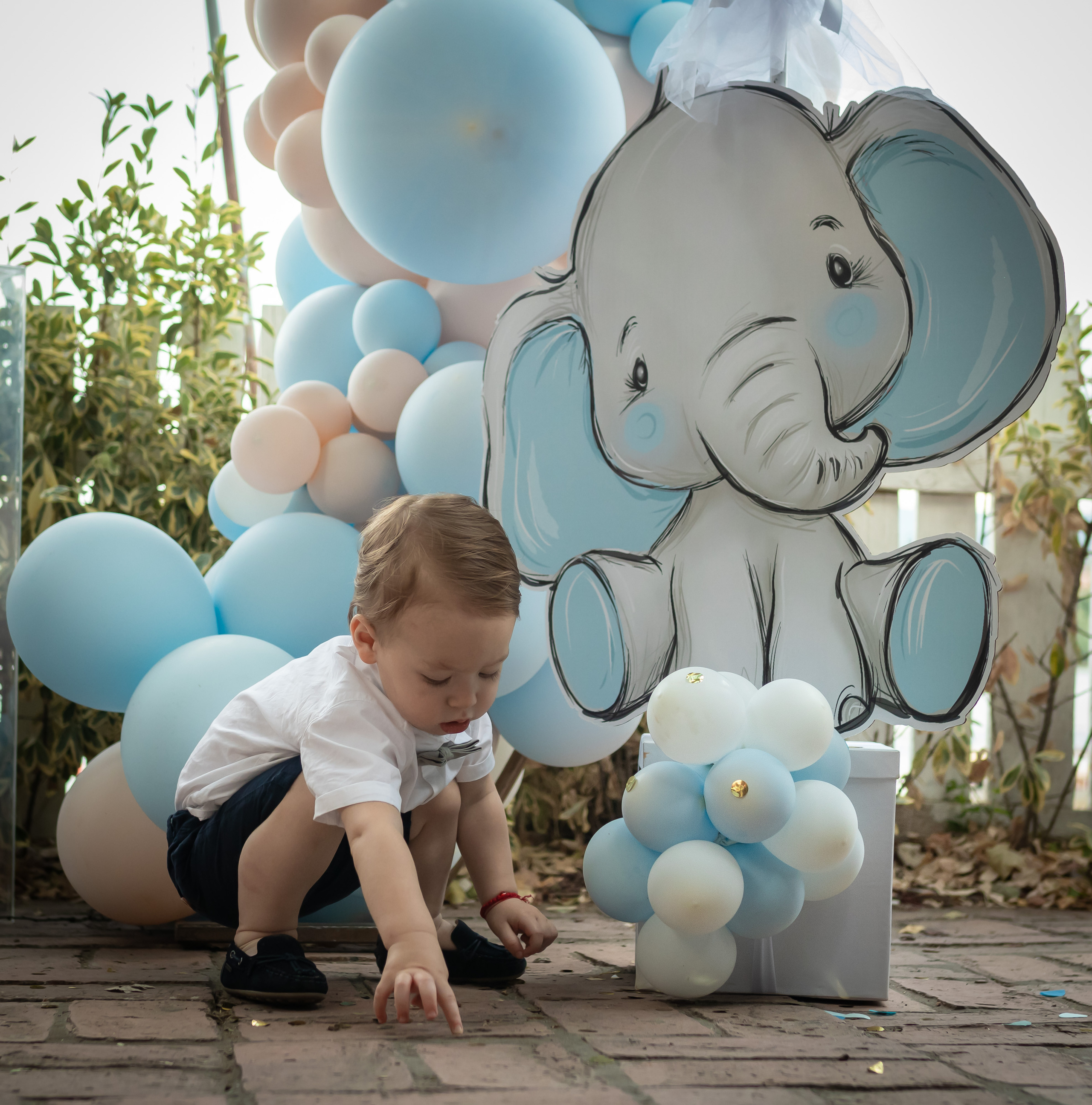 fotografija malog dečaka i slončeta