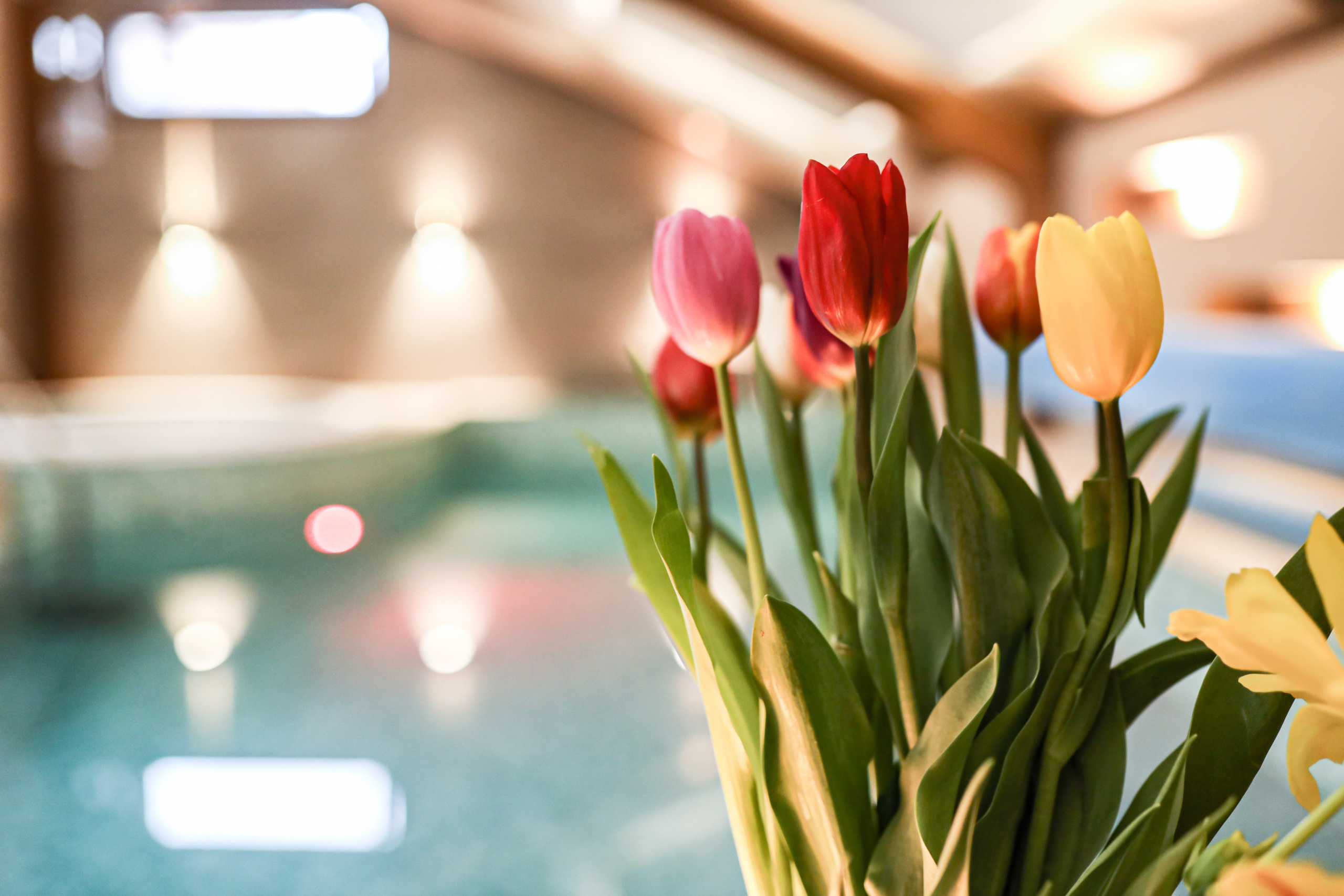 Fotografije enternijer luksuznih Marconio spa apartmana sa bazenom