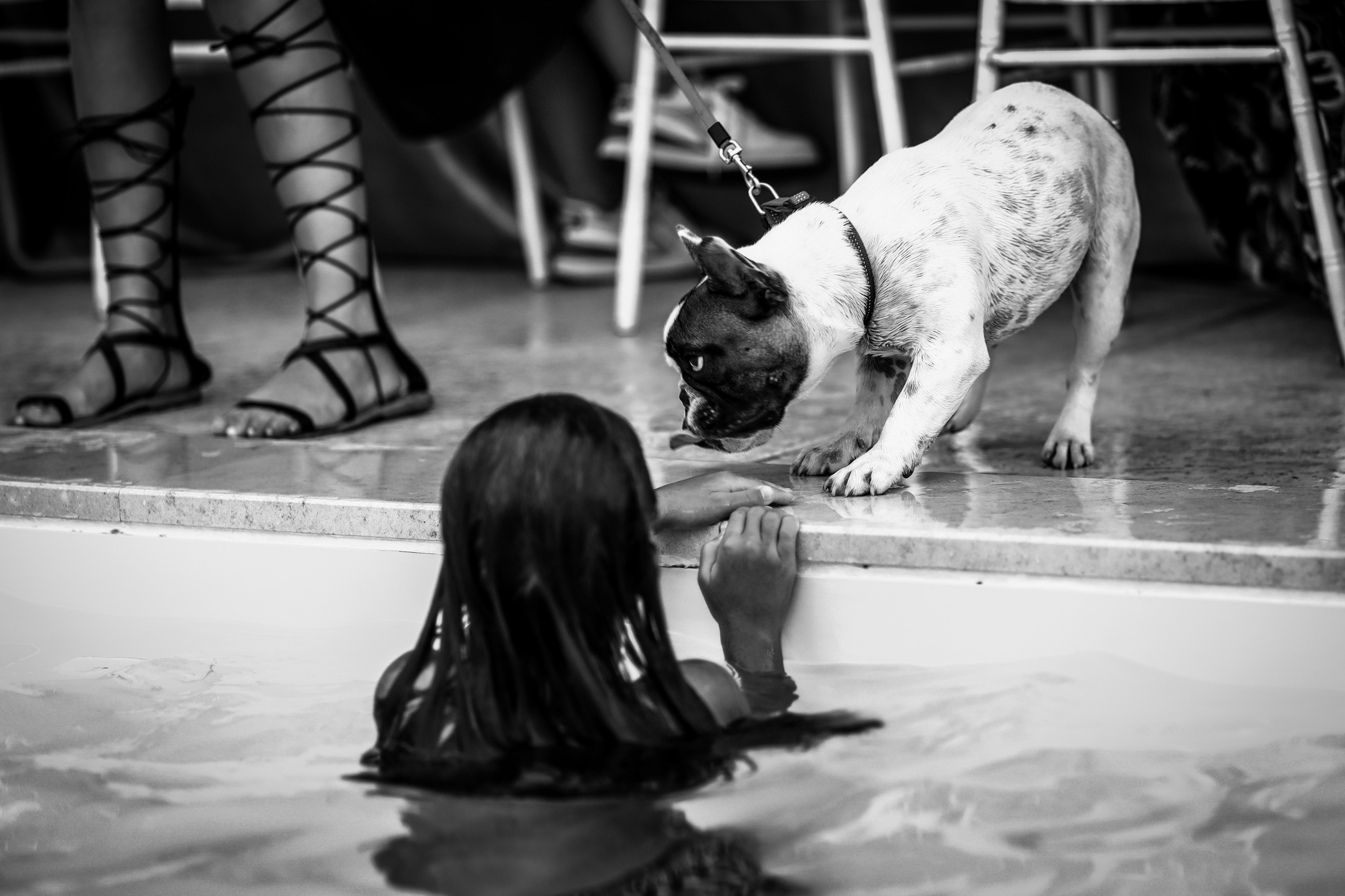 crno-bela fotografija devojčice i njenog ljubimca