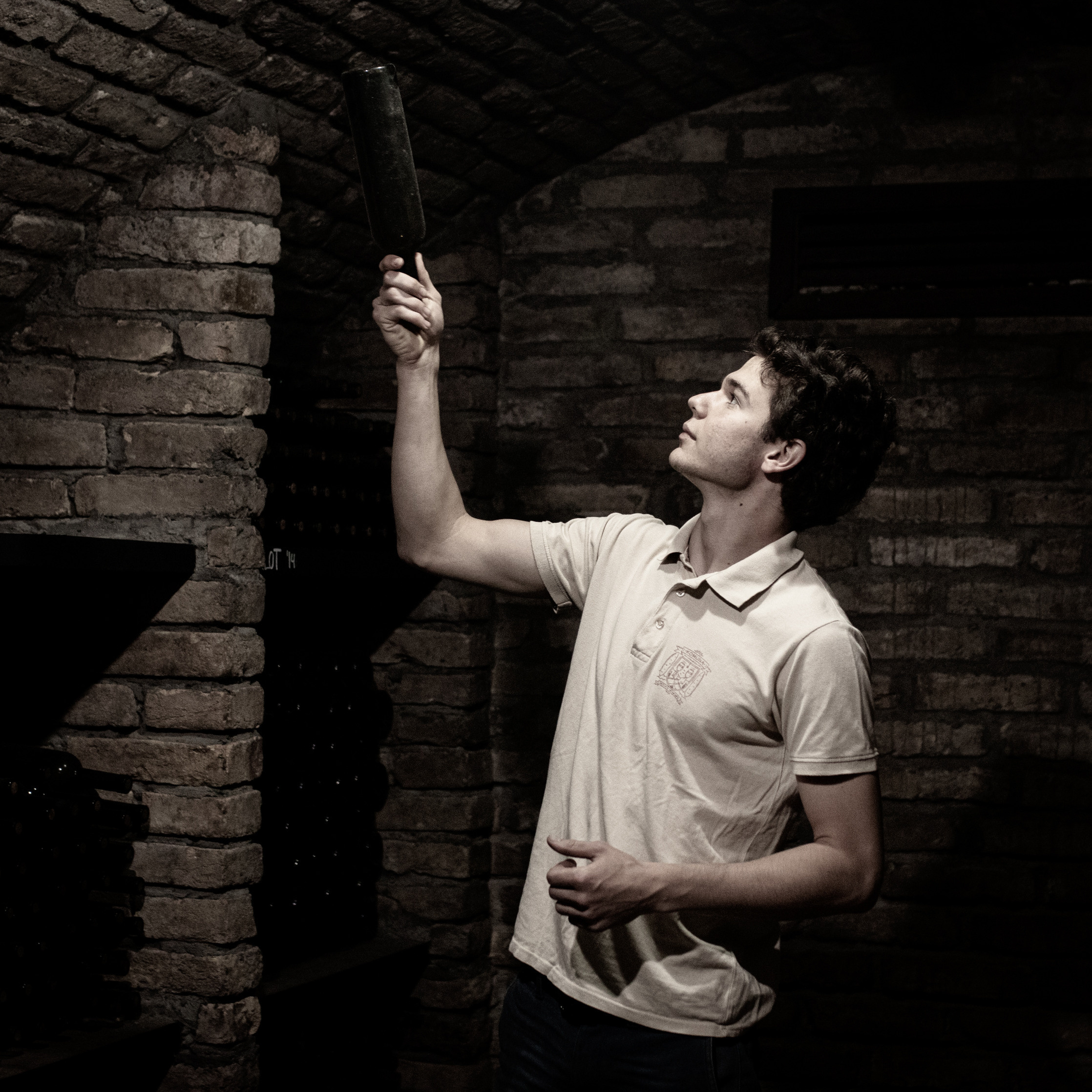 Fotografije skrivene vinarije za odmor za dušu u podnožju Fruške gore