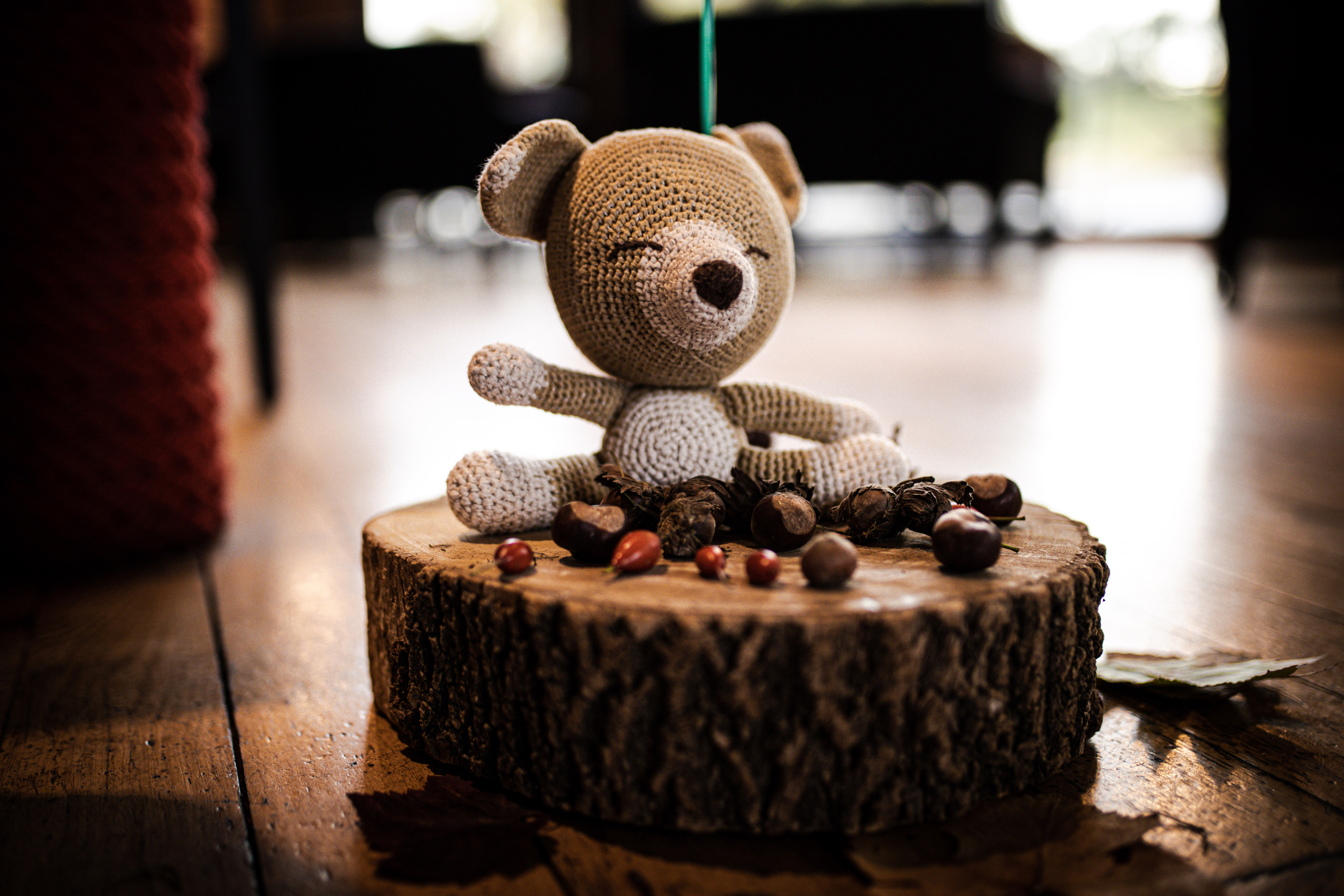 fotografija plišanog mede na panju