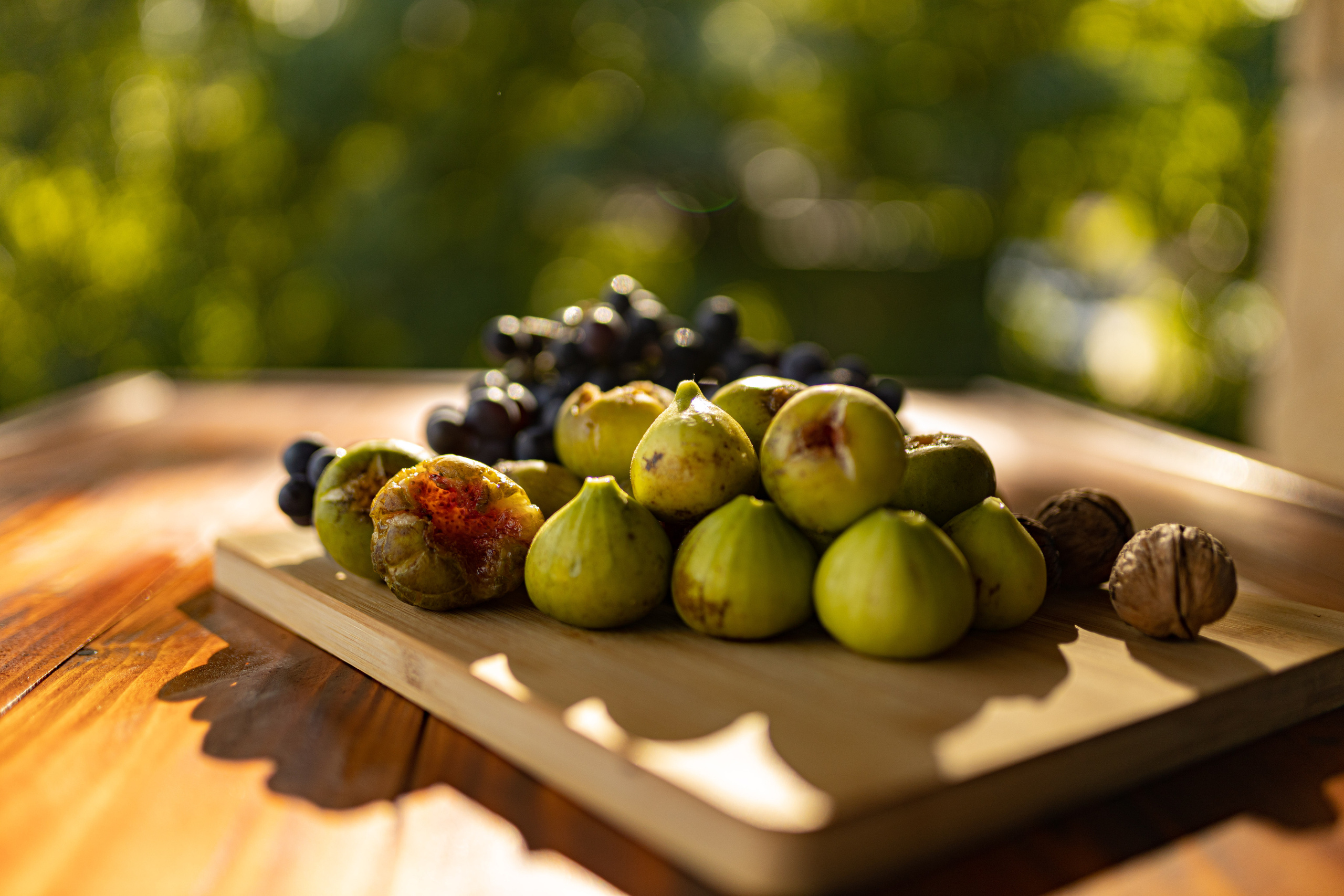 Fotografije enterijera vikendice za odmor u Vrdniku