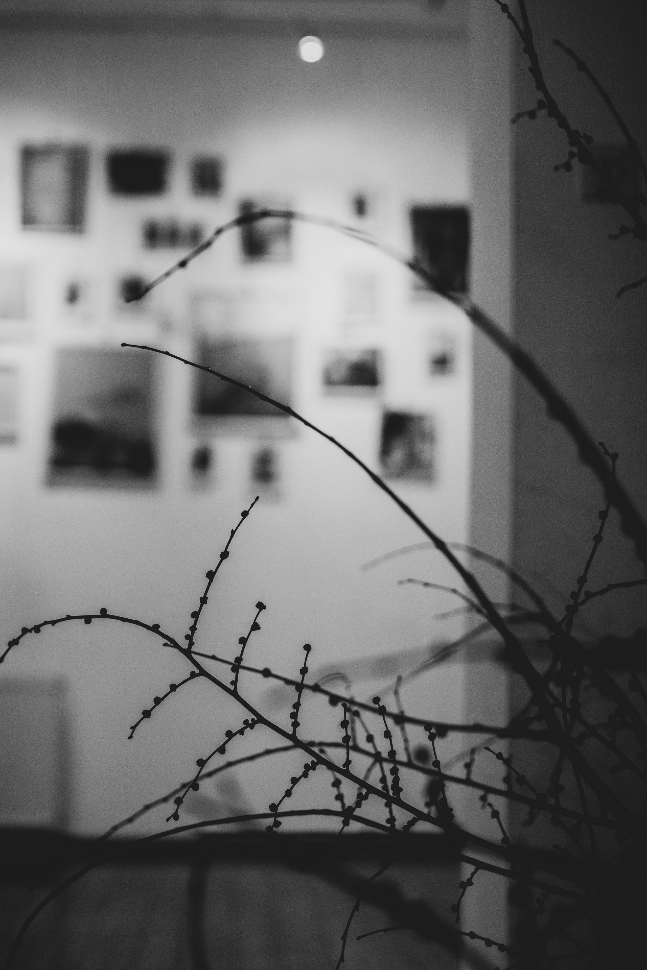 Fotografije sa predivne izložbe