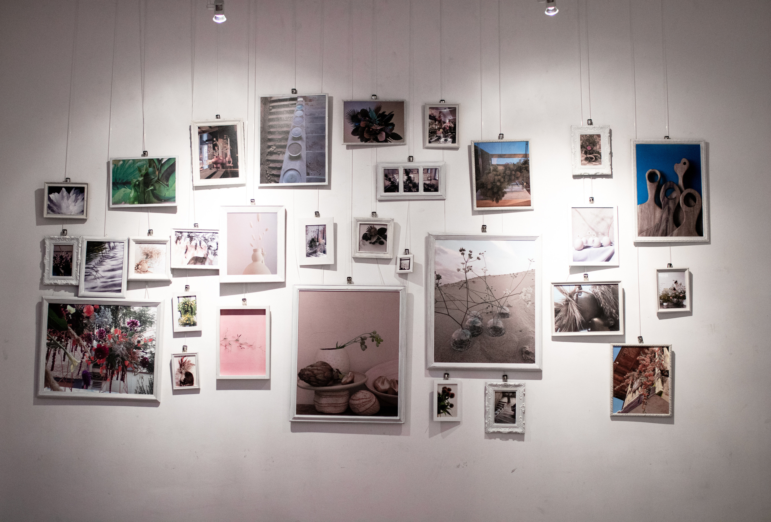 Fotografije sa predivne izložbe