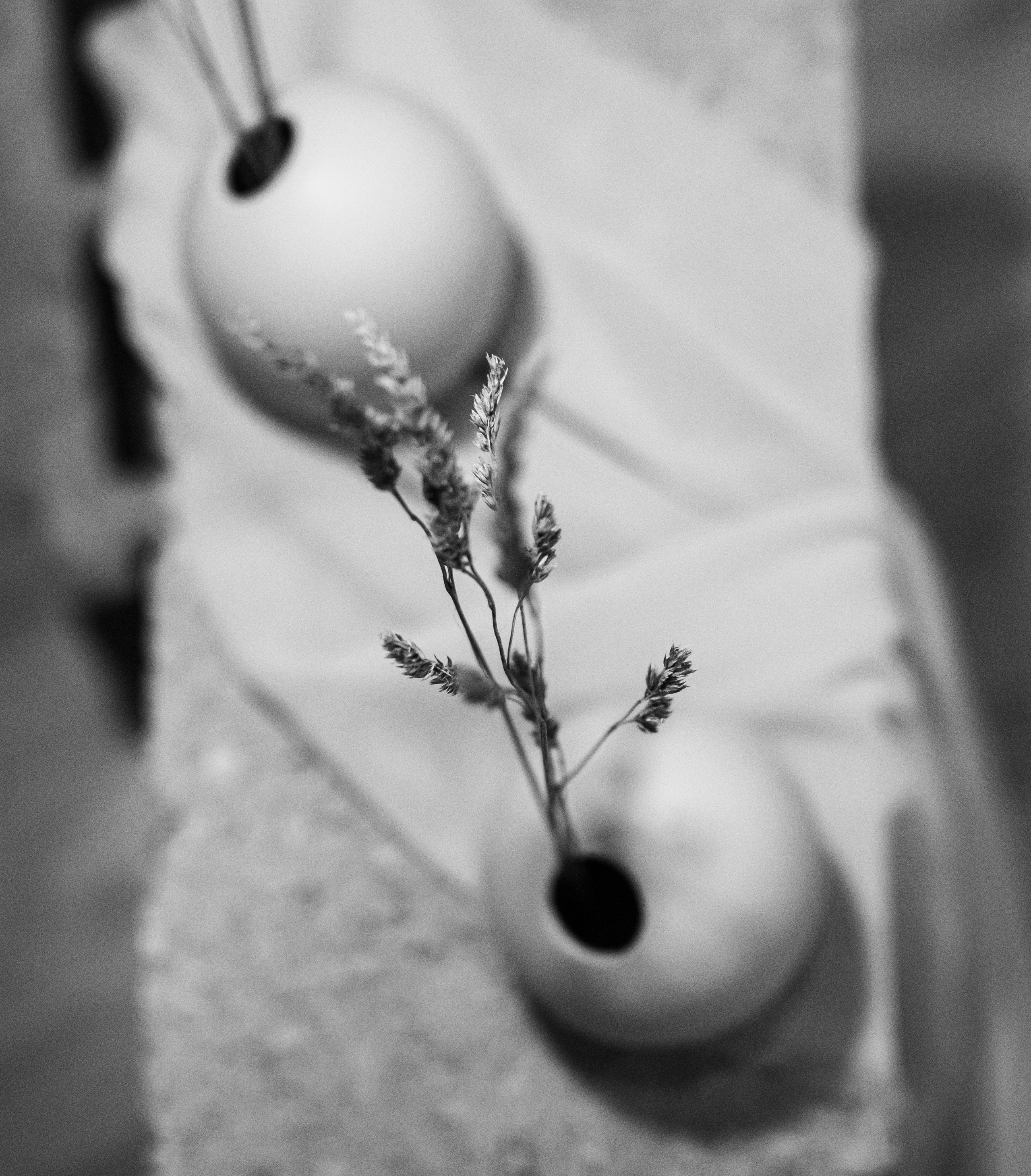 Fotografije sa predivne izložbe