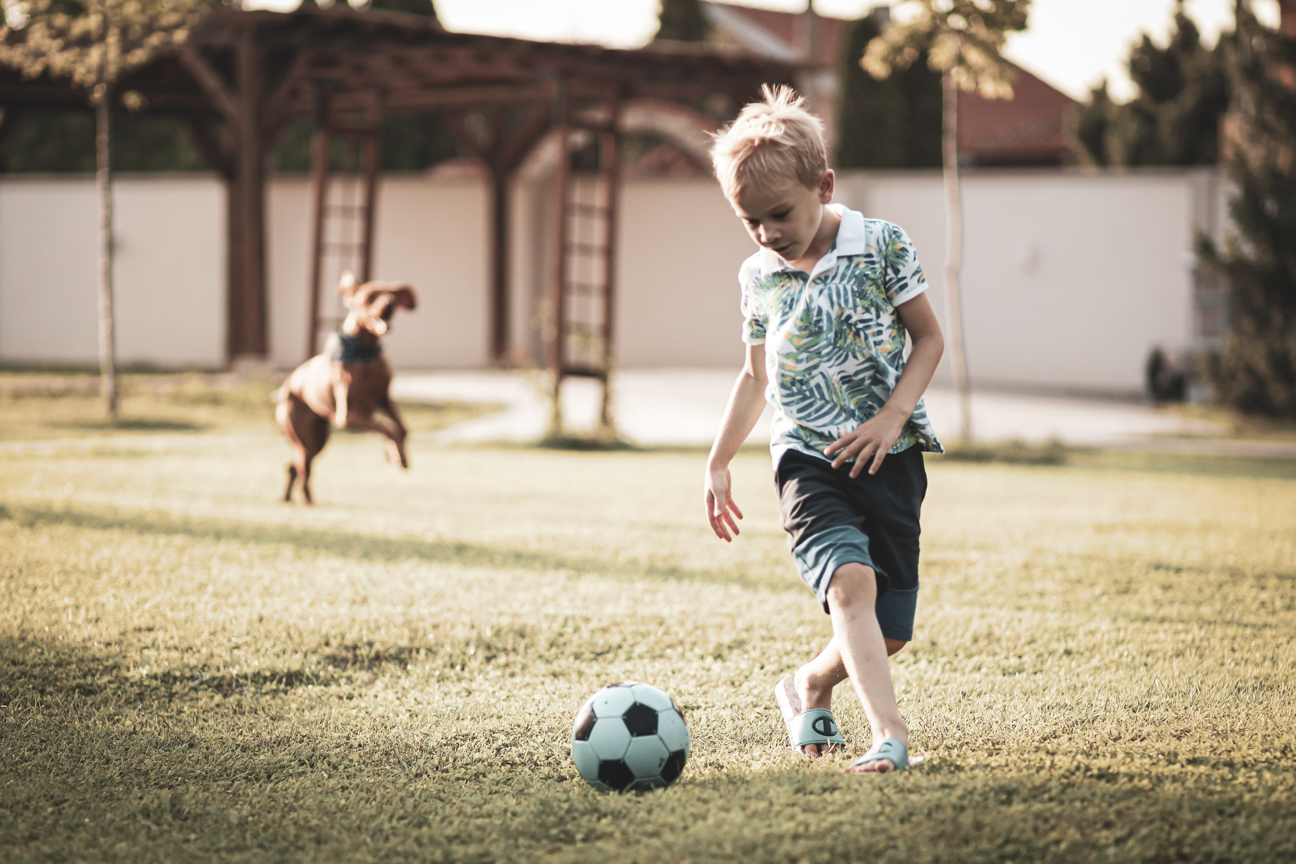 fotografija dečaka i psa sa loptom