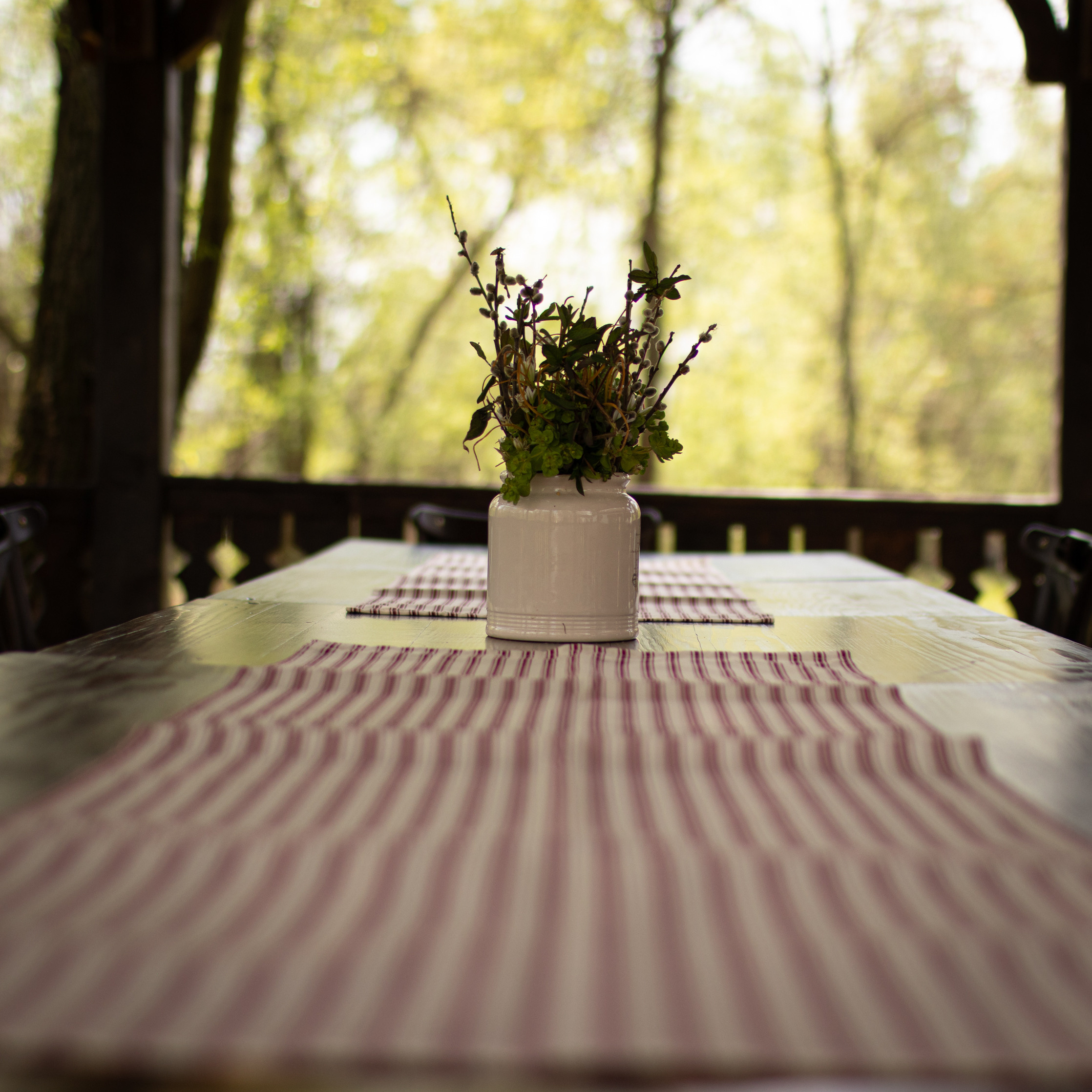 Fotografije skrivene vinarije za odmor za dušu u podnožju Fruške gore