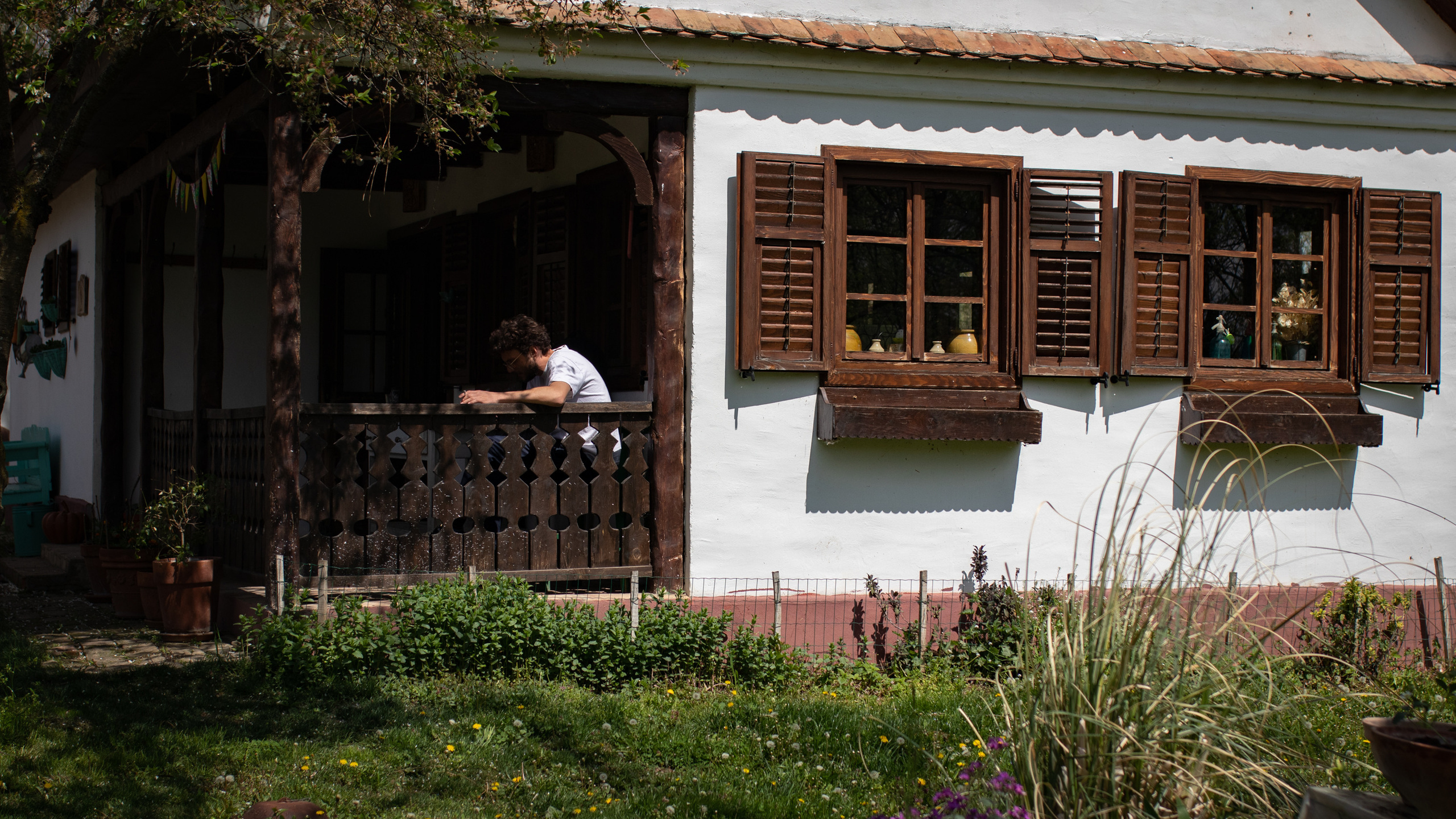 Fotografije skrivene vinarije za odmor za dušu u podnožju Fruške gore