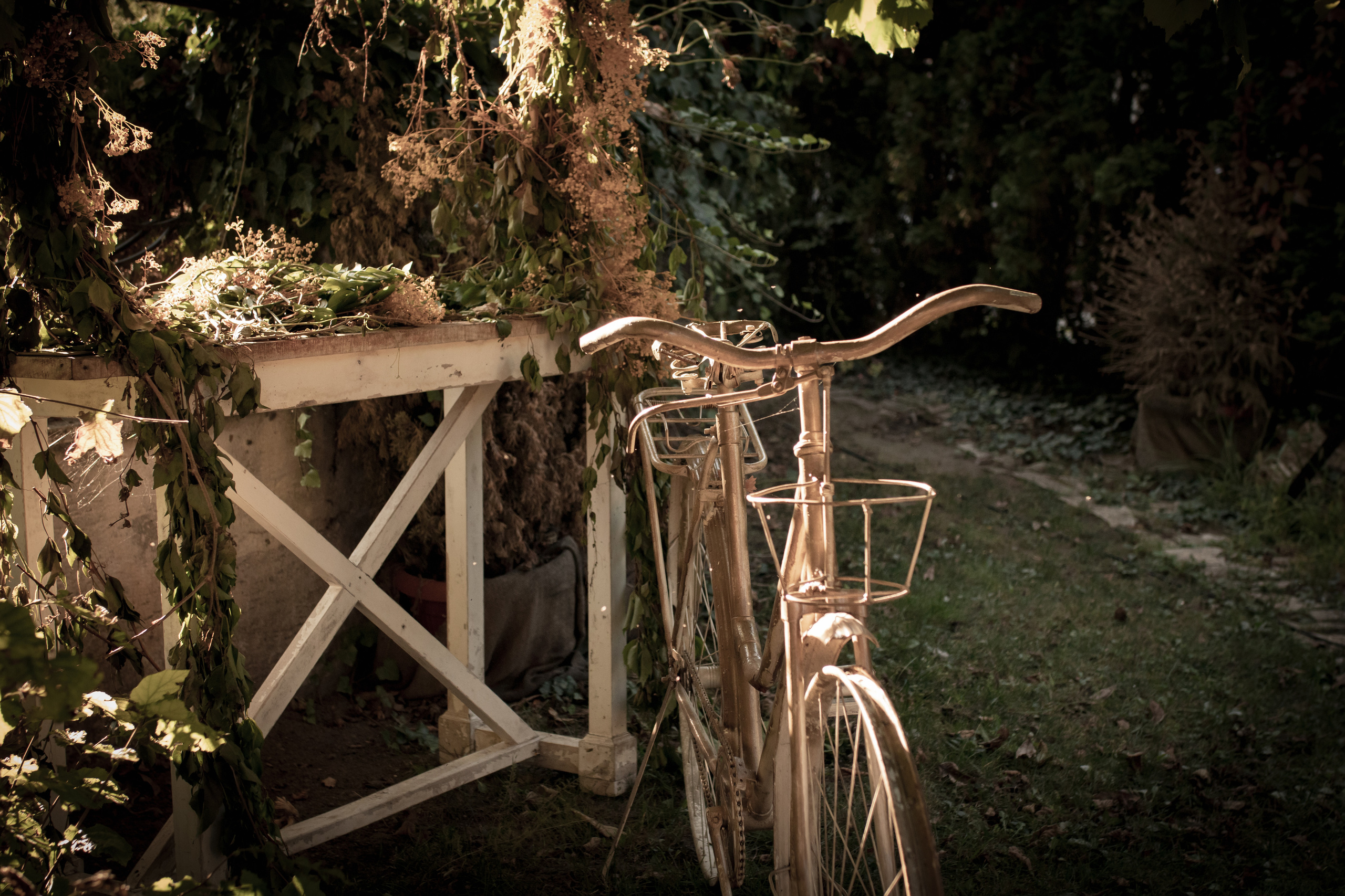 fotografija starog bicikla