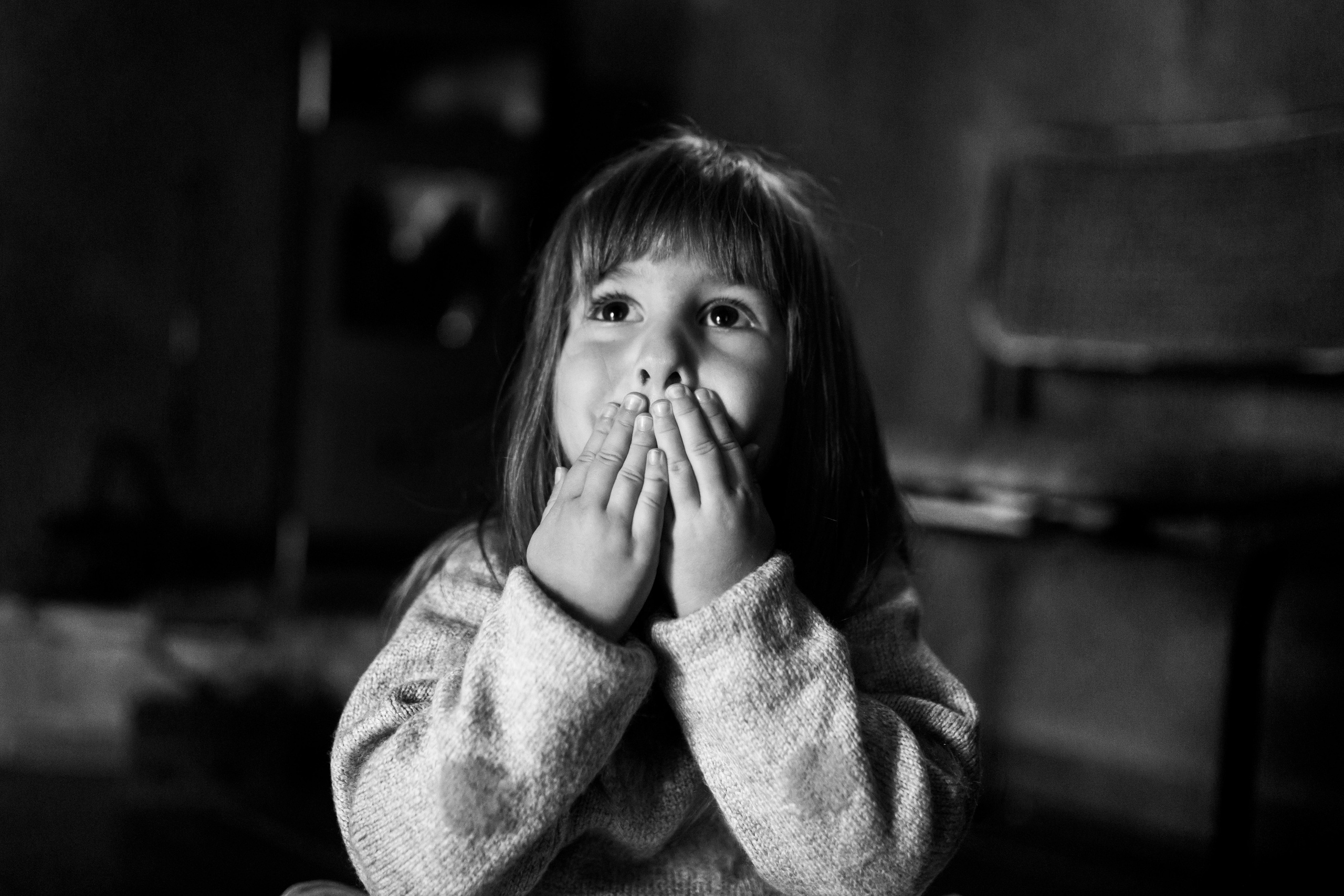 Profesionalno studijsko novogodišnje fotografisanje Beograd