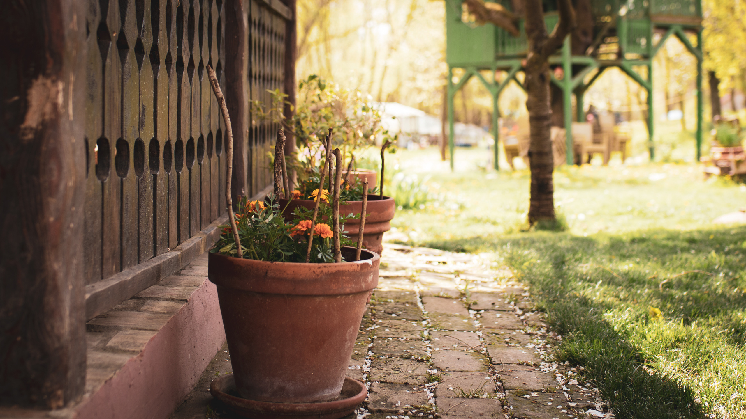 Fotografije skrivene vinarije za odmor za dušu u podnožju Fruške gore