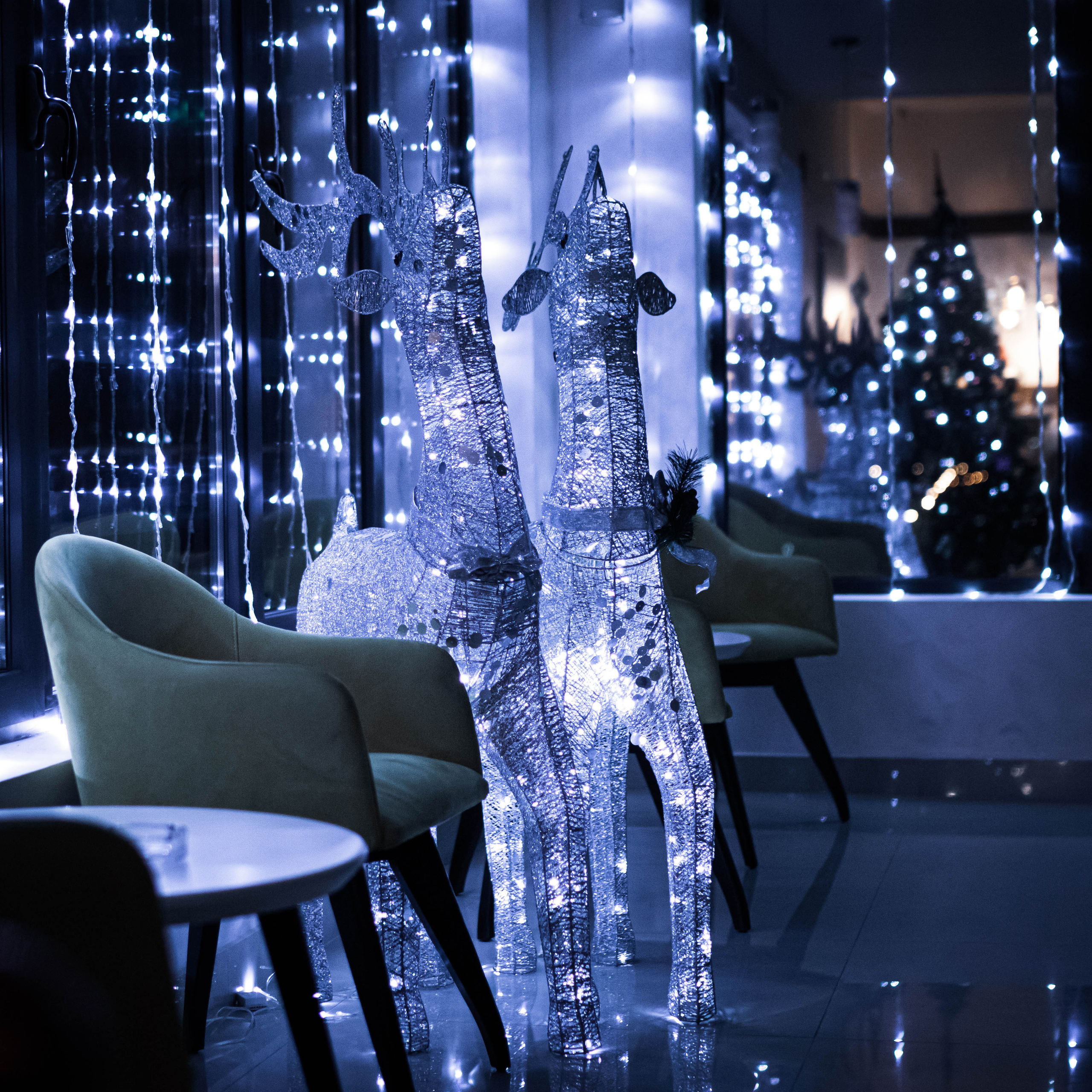 Fotografije enterijera jotela Garnet u Rumi