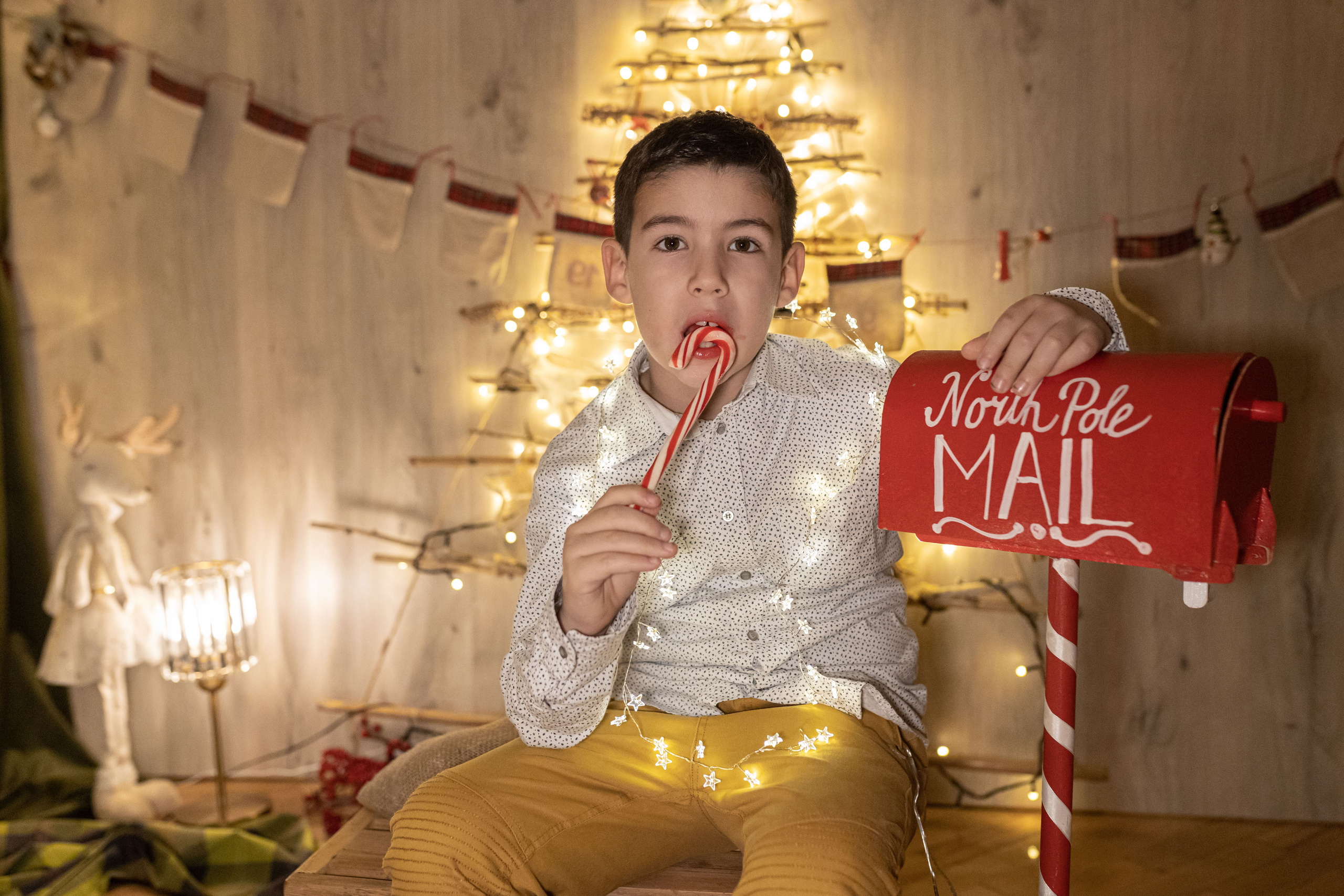 Praznična fotosesija sa elegantnim novogodišnjim setovima