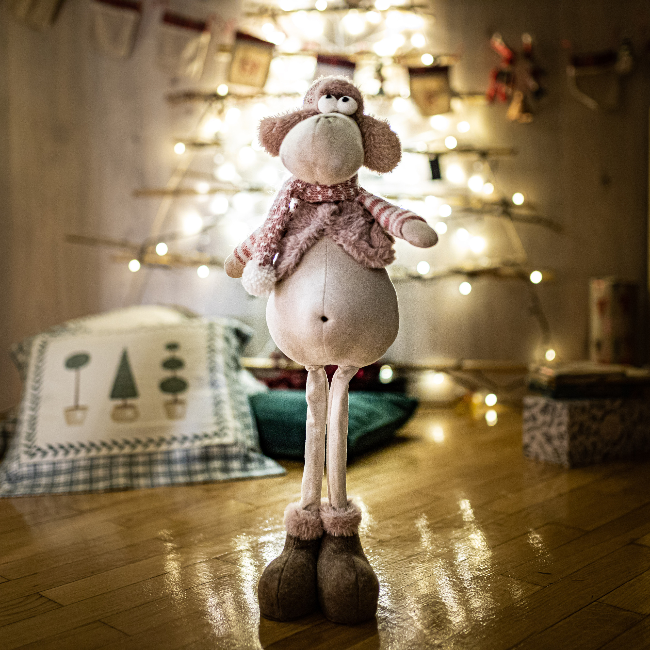 Studijsko novogodišnje fotografisanje