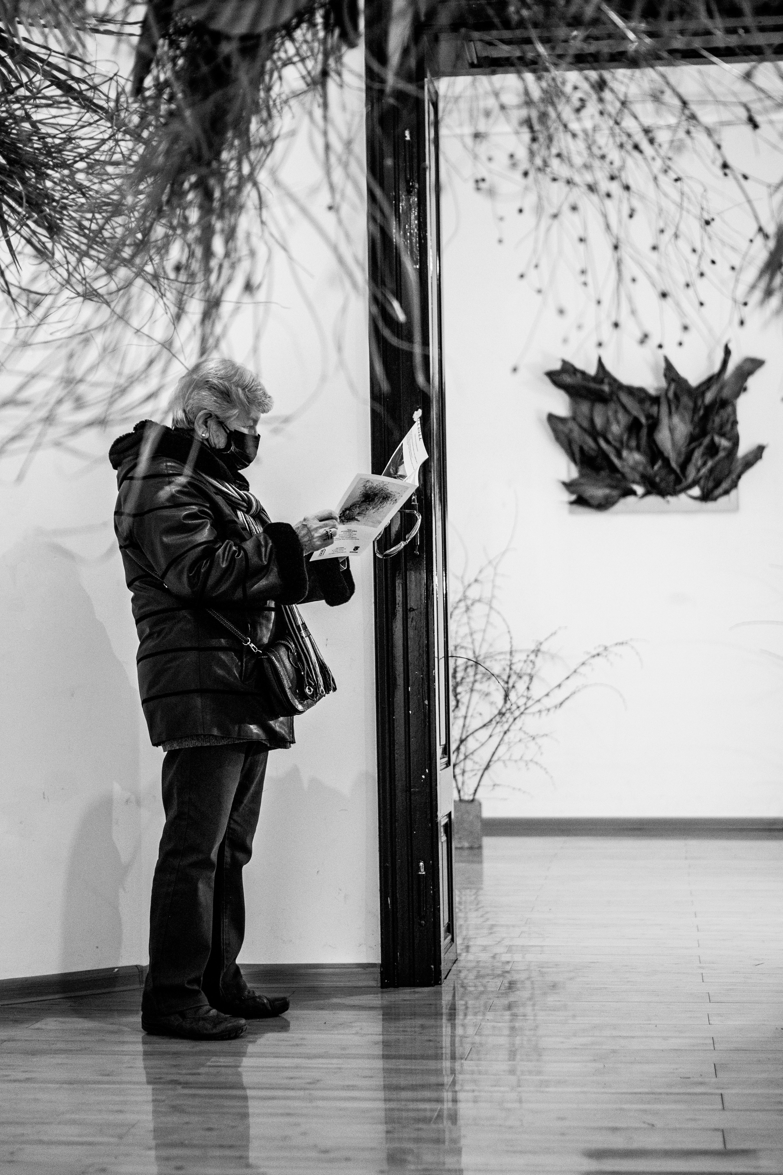 Fotografije sa predivne izložbe