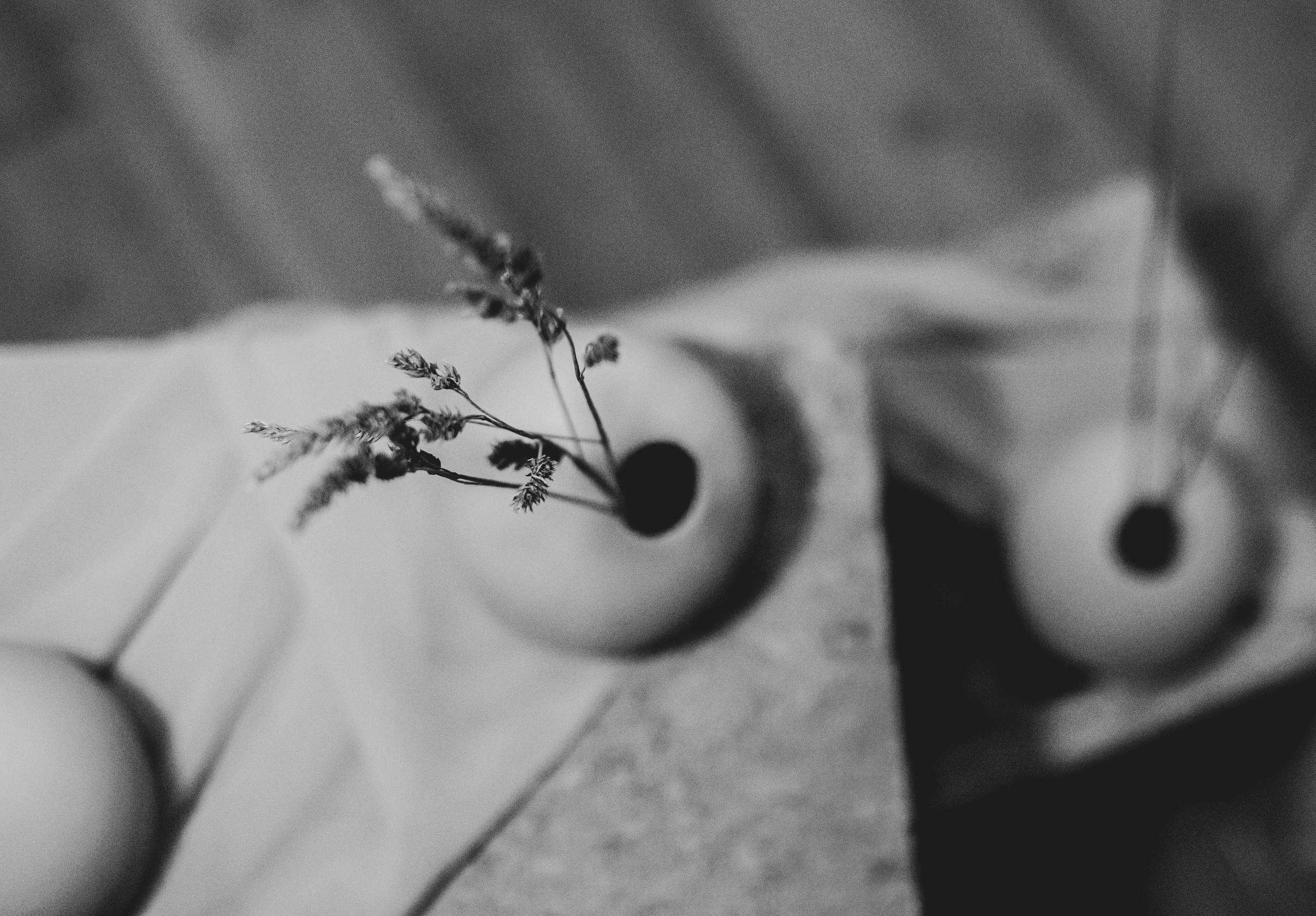 Fotografije sa predivne izložbe