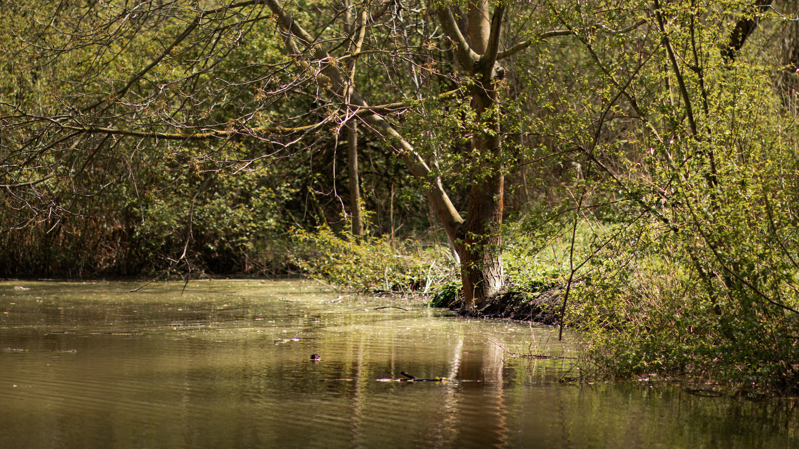 Fotografije skrivene vinarije za odmor za dušu u podnožju Fruške gore