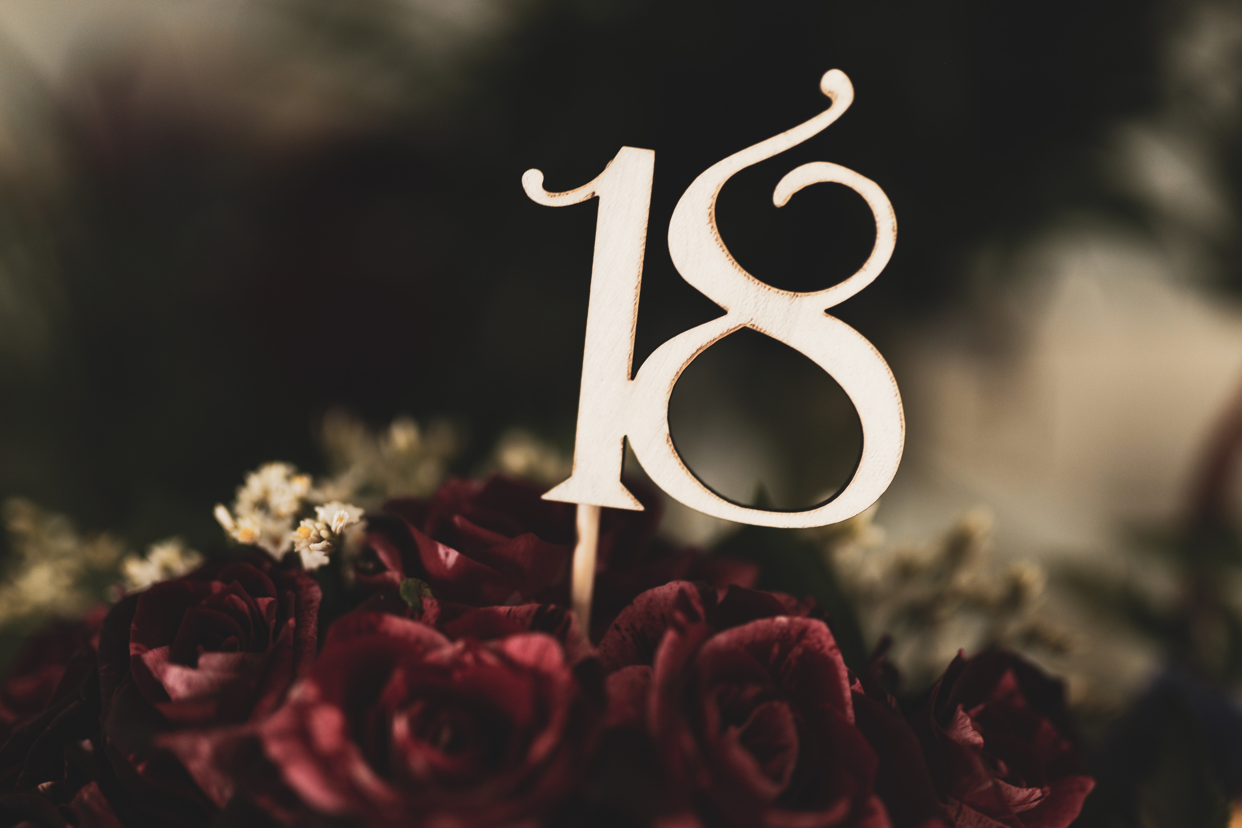 fotografija broja 18