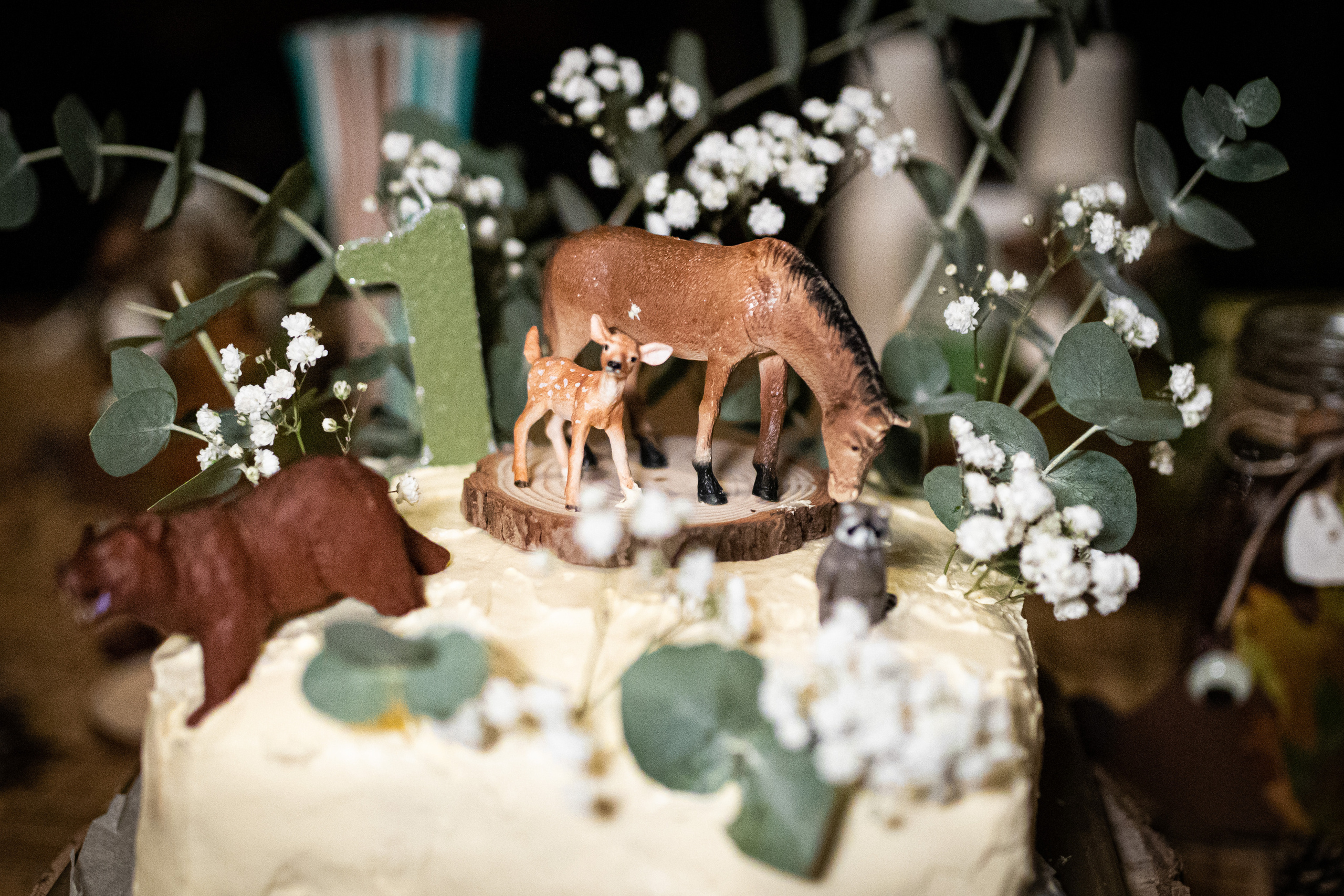 fotografisanje torte za prvi rođendan