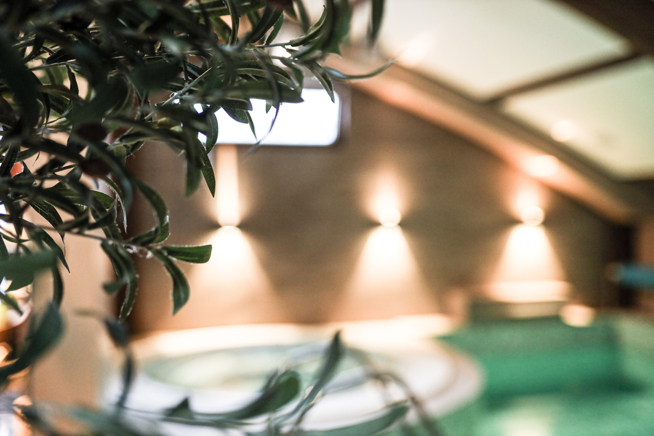 Fotografije enternijer luksuznih Marconio spa apartmana sa bazenom