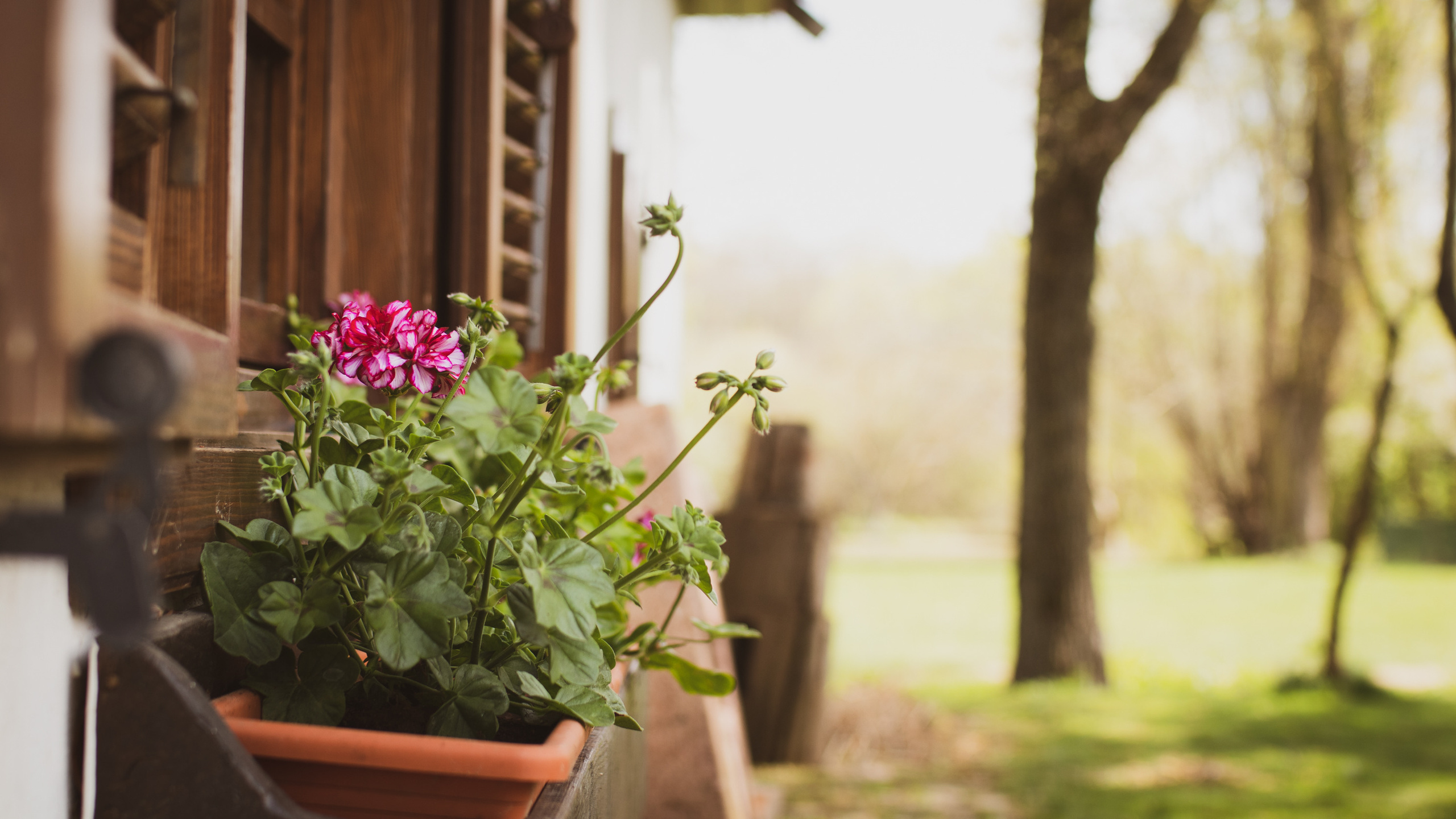 Fotografije skrivene vinarije za odmor za dušu u podnožju Fruške gore