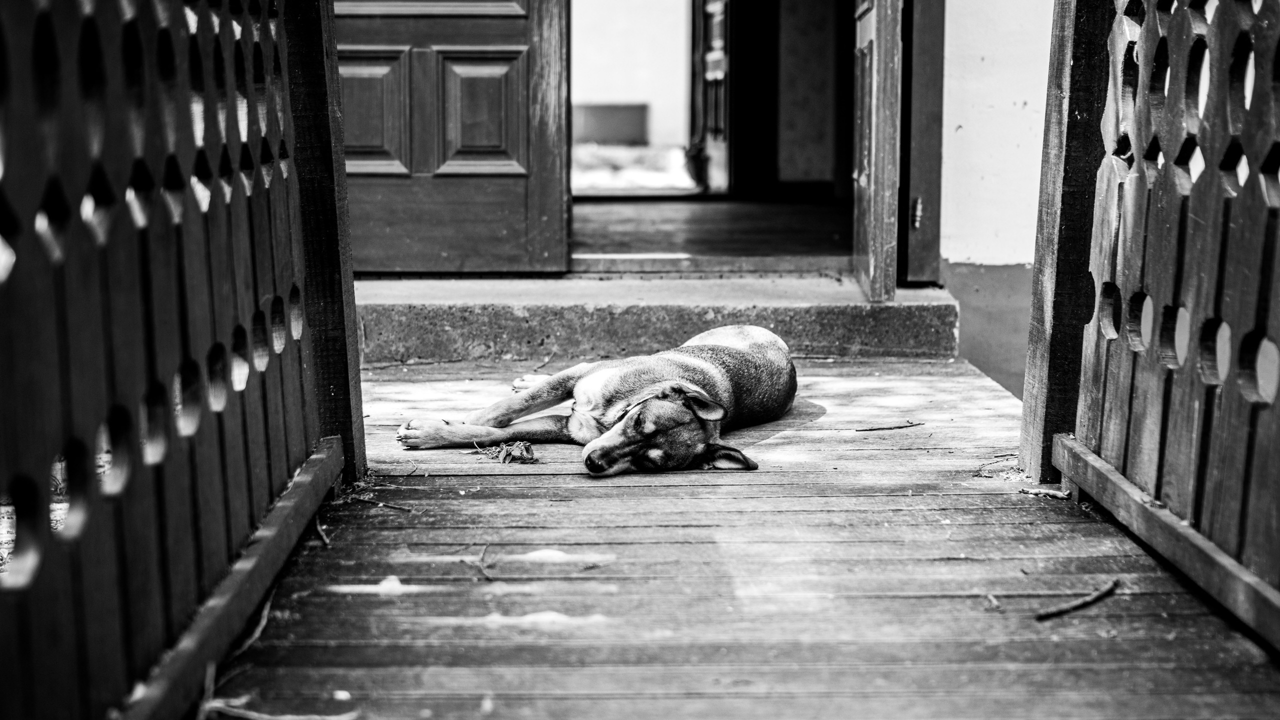 Fotografije skrivene vinarije za odmor za dušu u podnožju Fruške gore