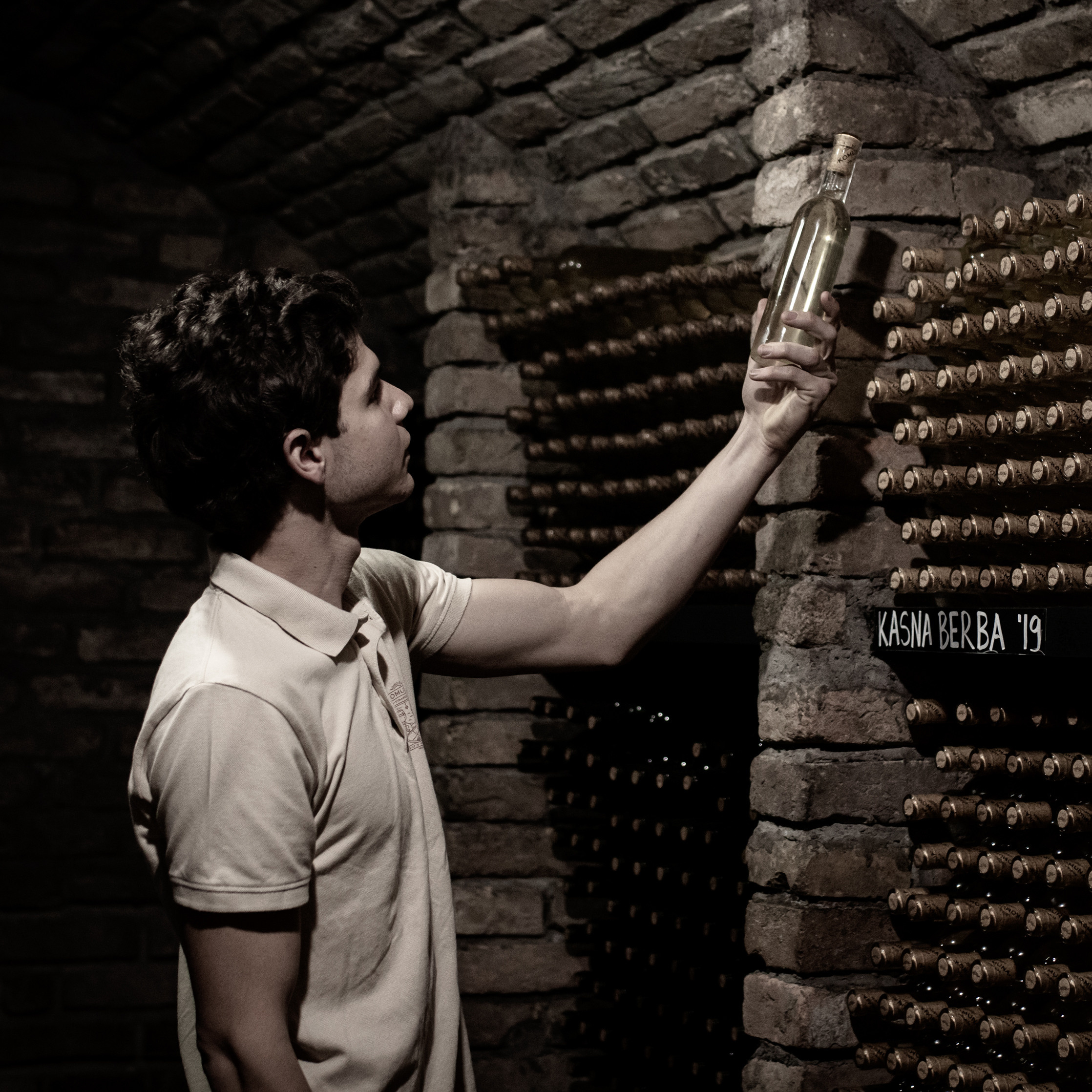 Fotografije skrivene vinarije za odmor za dušu u podnožju Fruške gore