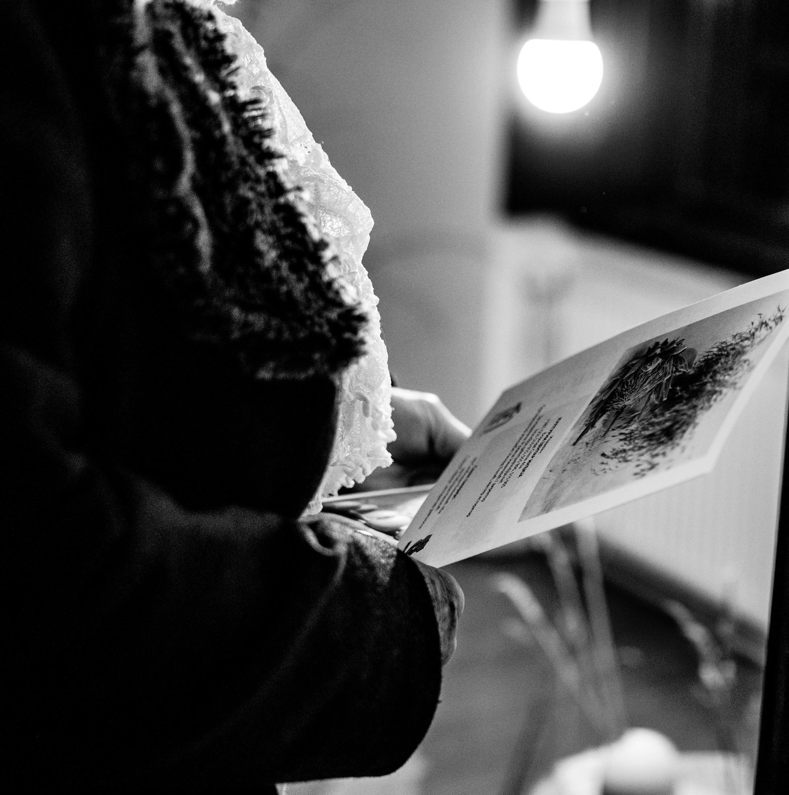 Fotografije sa predivne izložbe