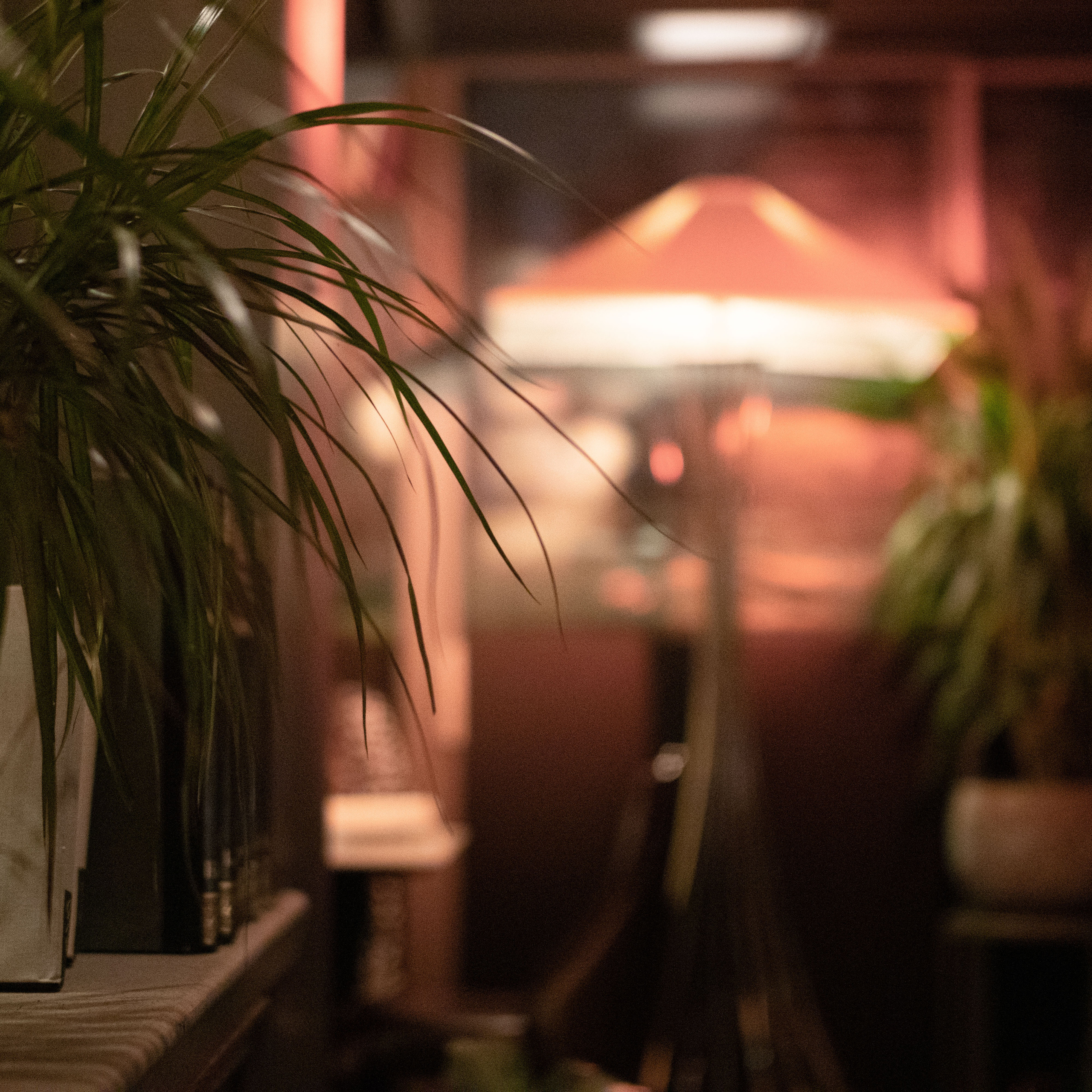 Fotografije luksznog butik hotela Gospava u Beogradu