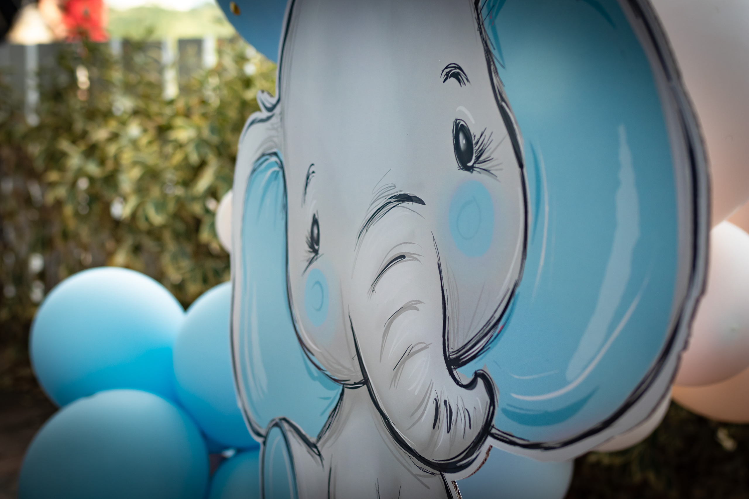 fotografija dečijeg slončeta