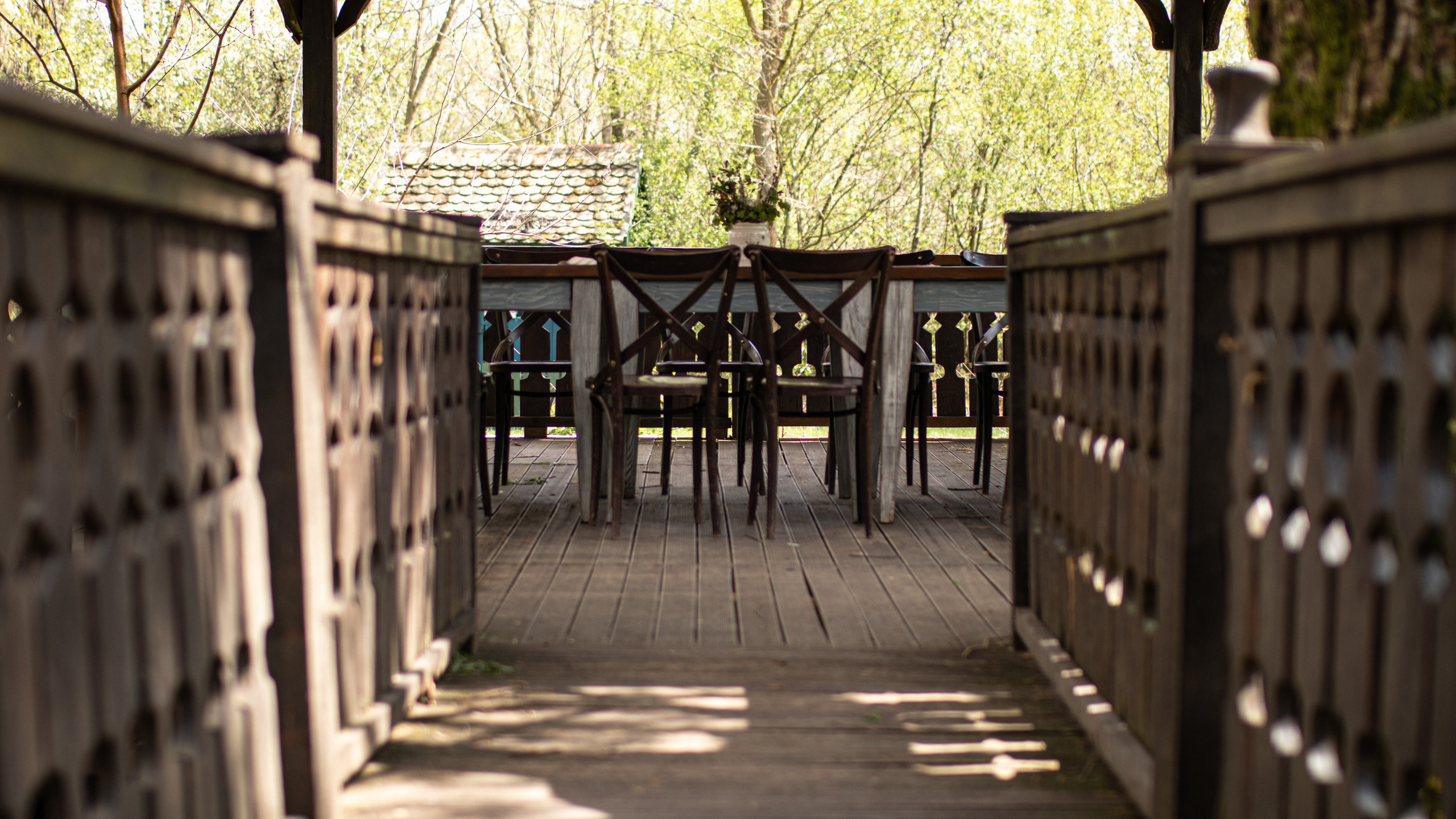 Fotografije skrivene vinarije za odmor za dušu u podnožju Fruške gore
