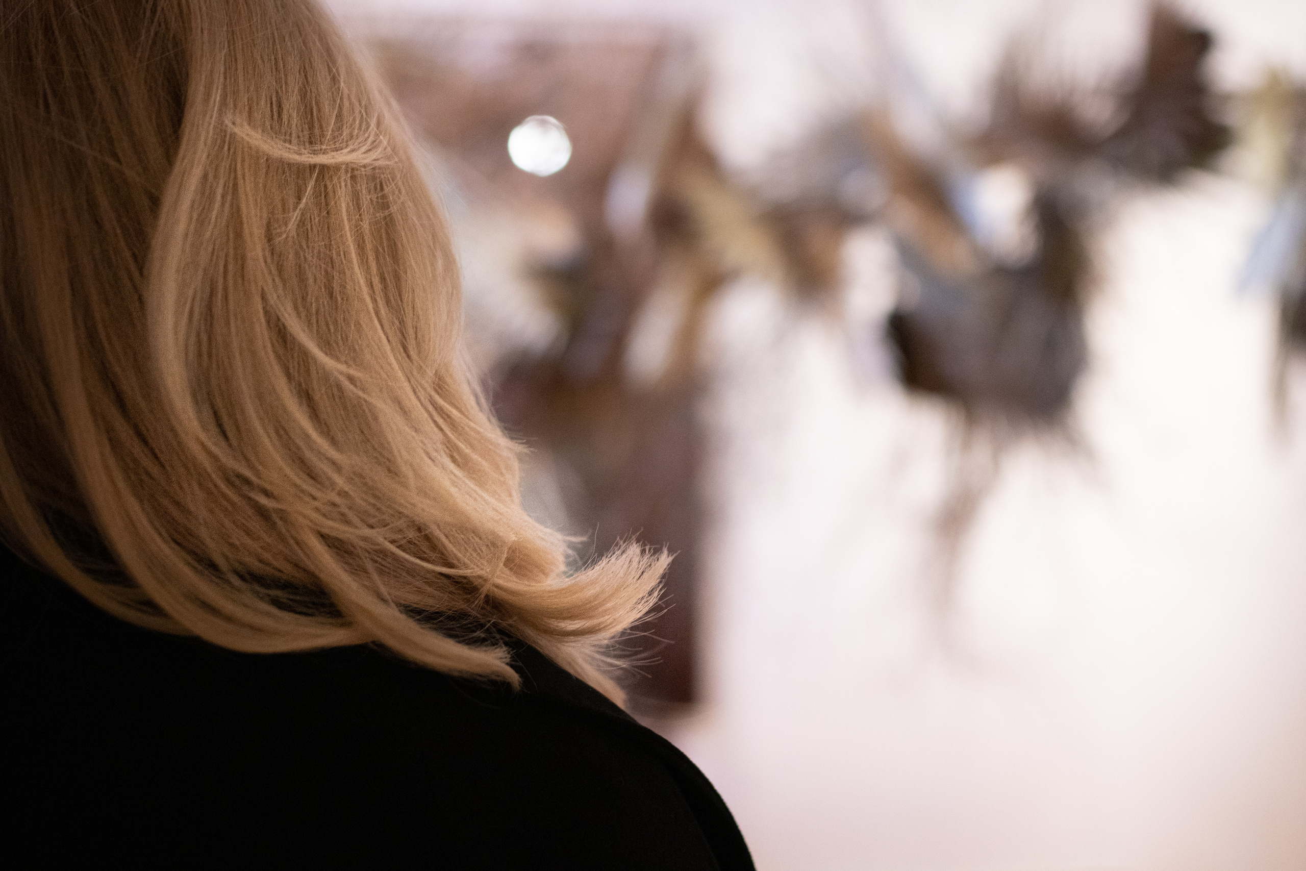 Fotografije sa predivne izložbe