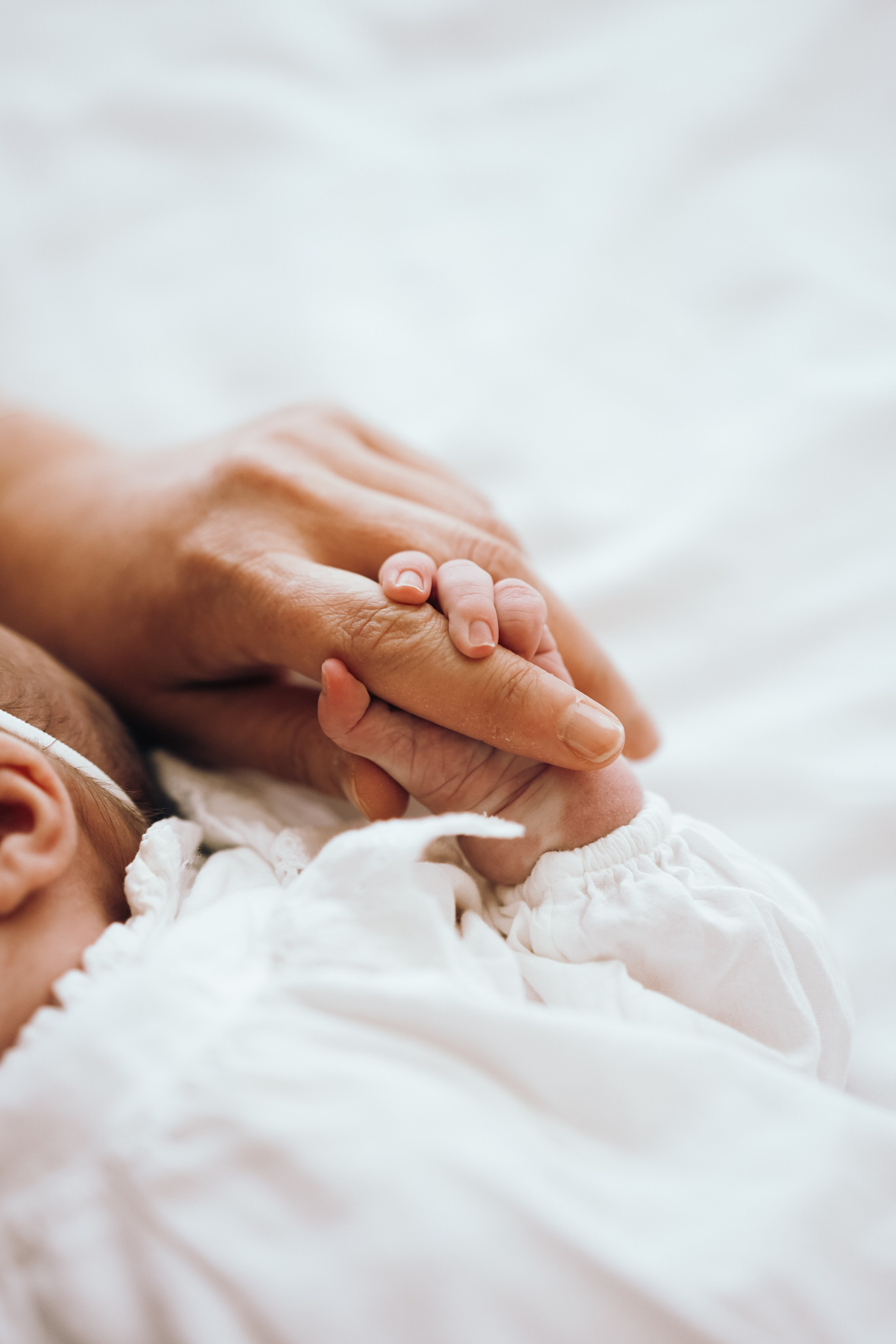 Santa Monica family photographer. Los Angeles family photographer. Family photoshoot. Family photographer. Family photoshoot. 