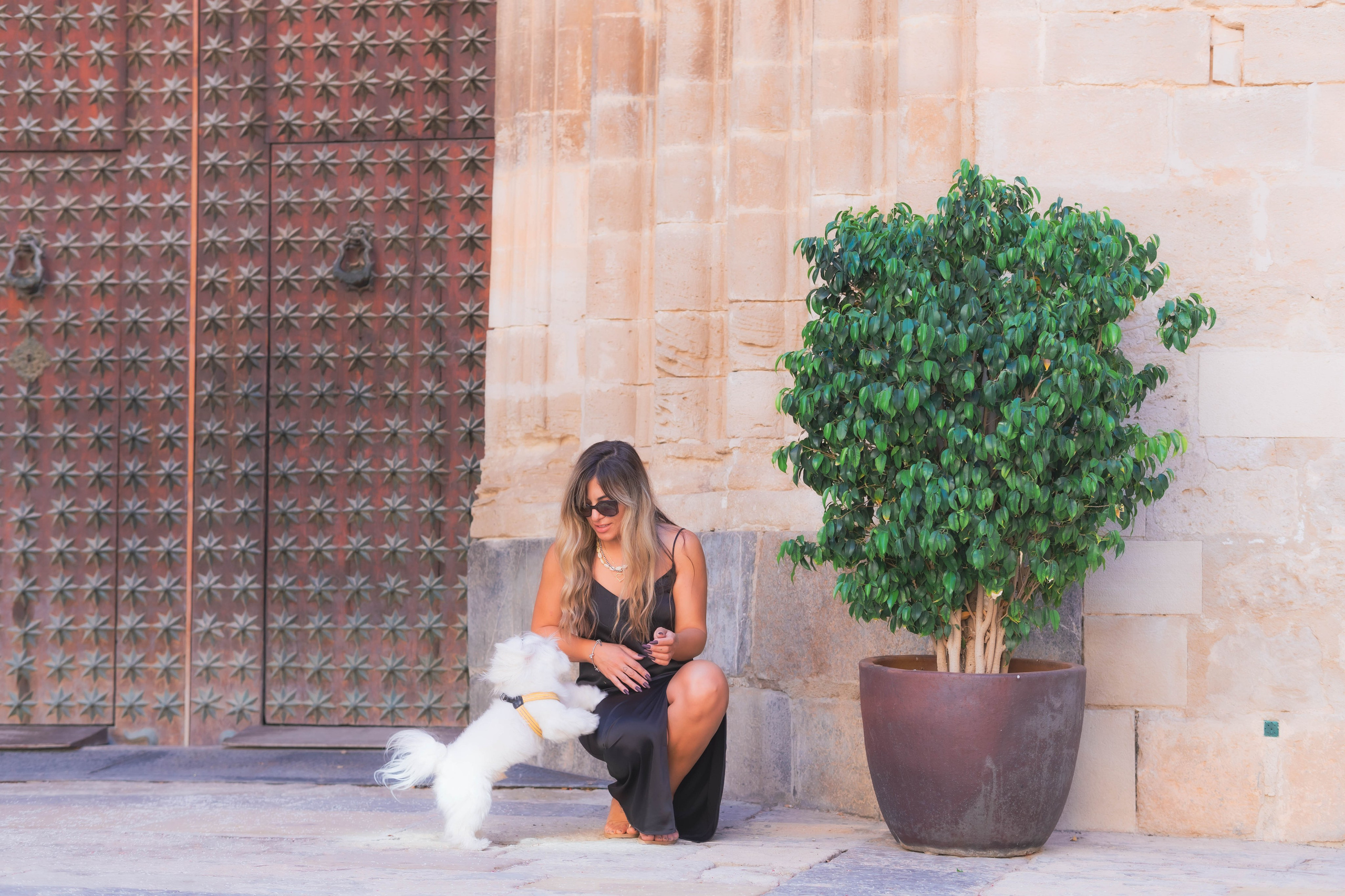 Karina. Alba del Norte Studio